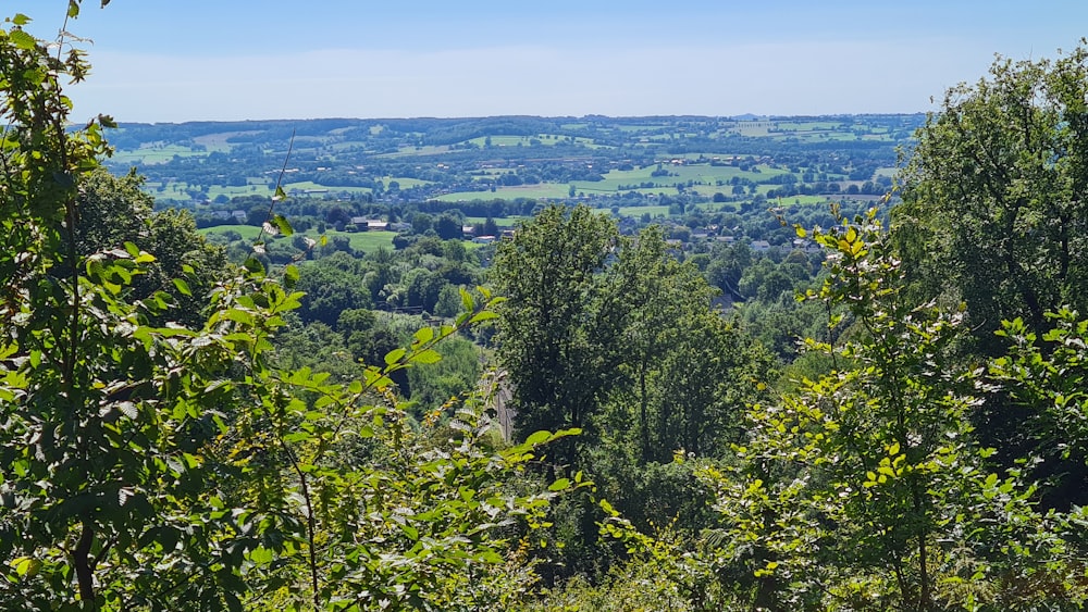 a view of the countryside through the trees