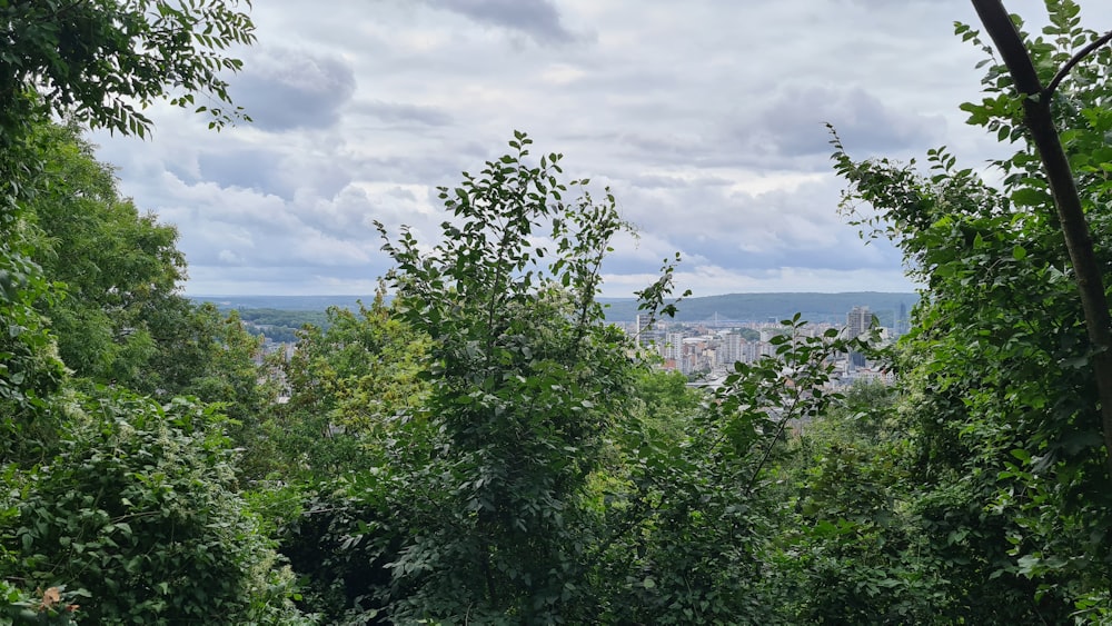 a view of a city through some trees