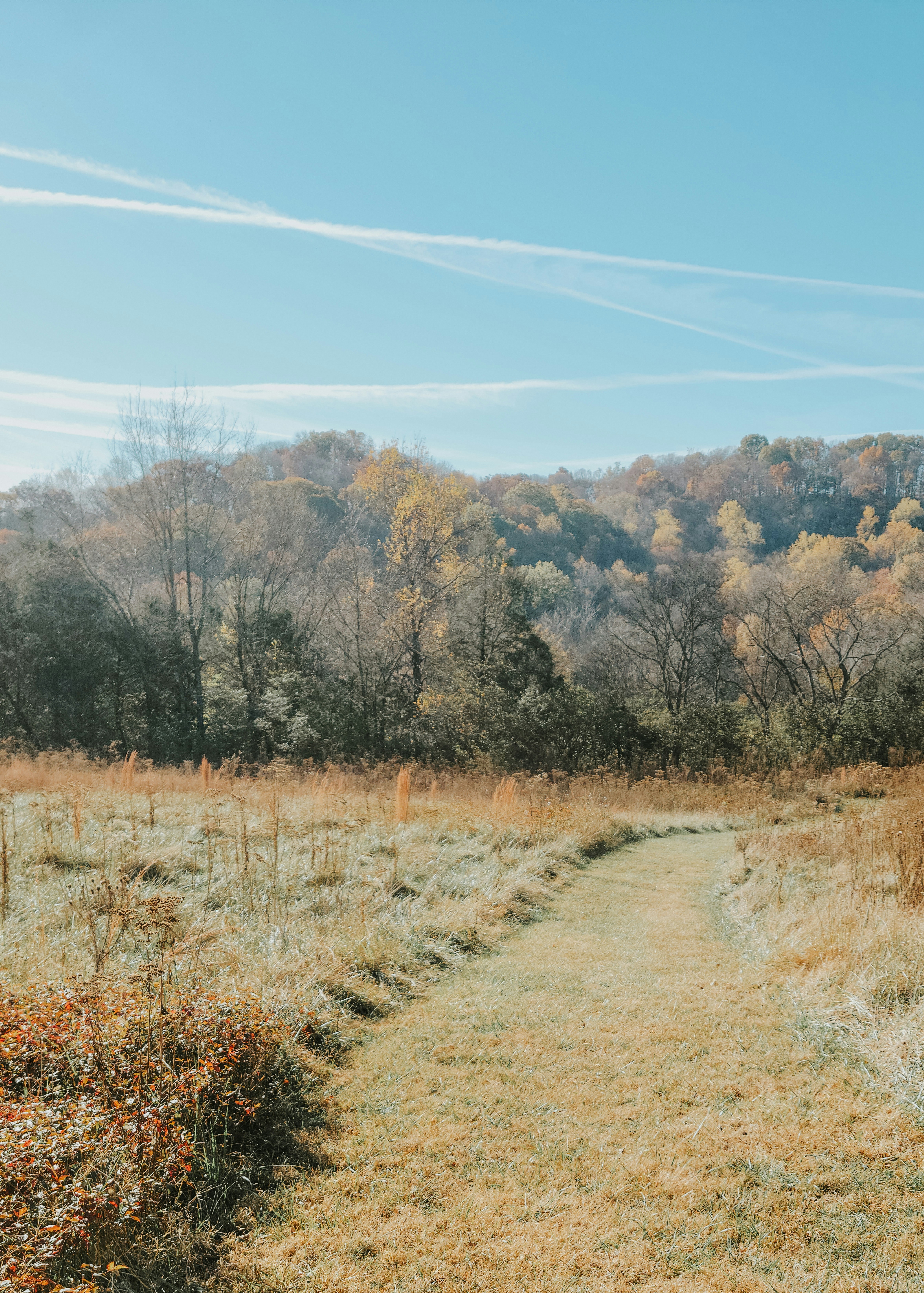 Photo by fieldworkframes