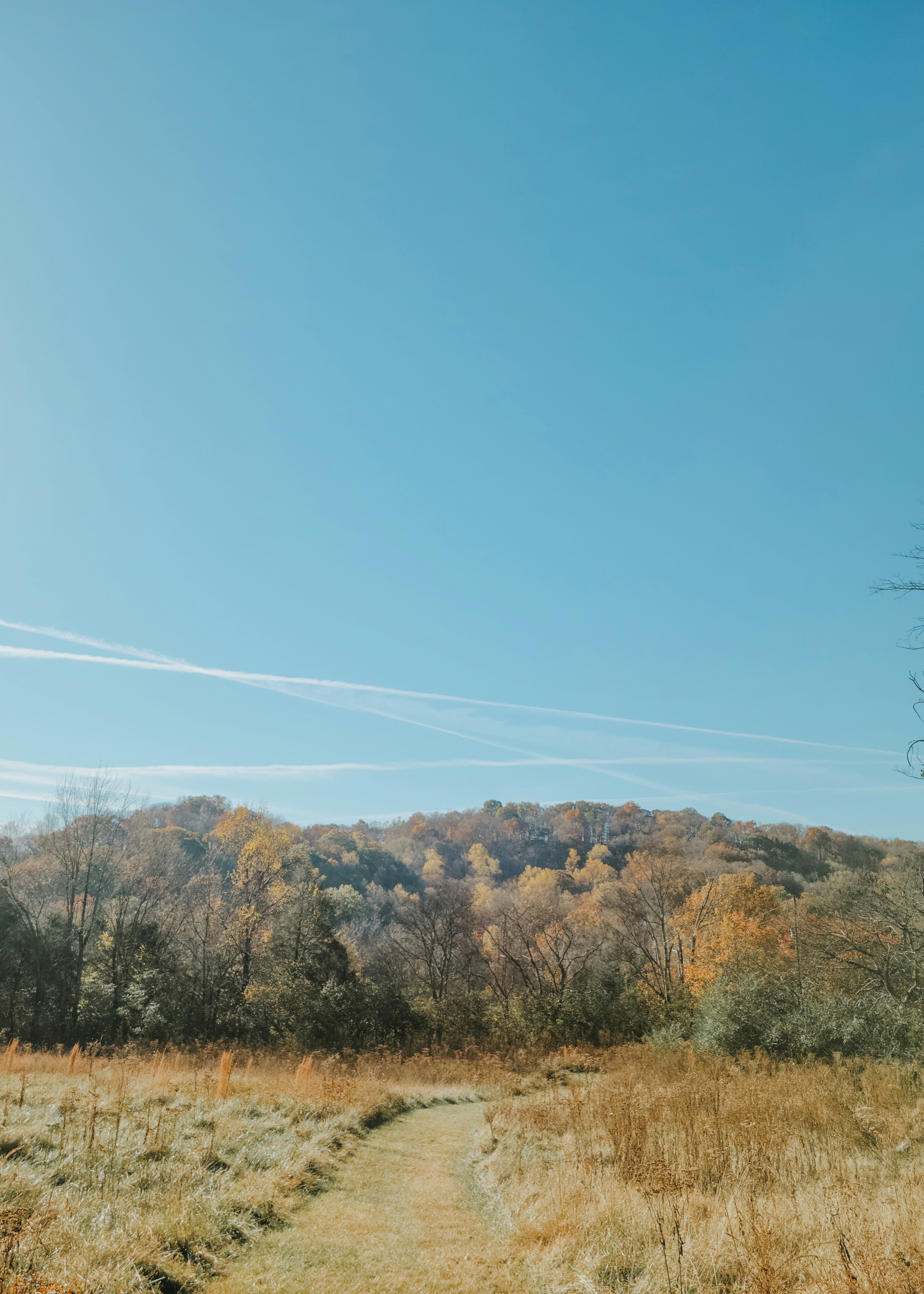 Photo by fieldworkframes