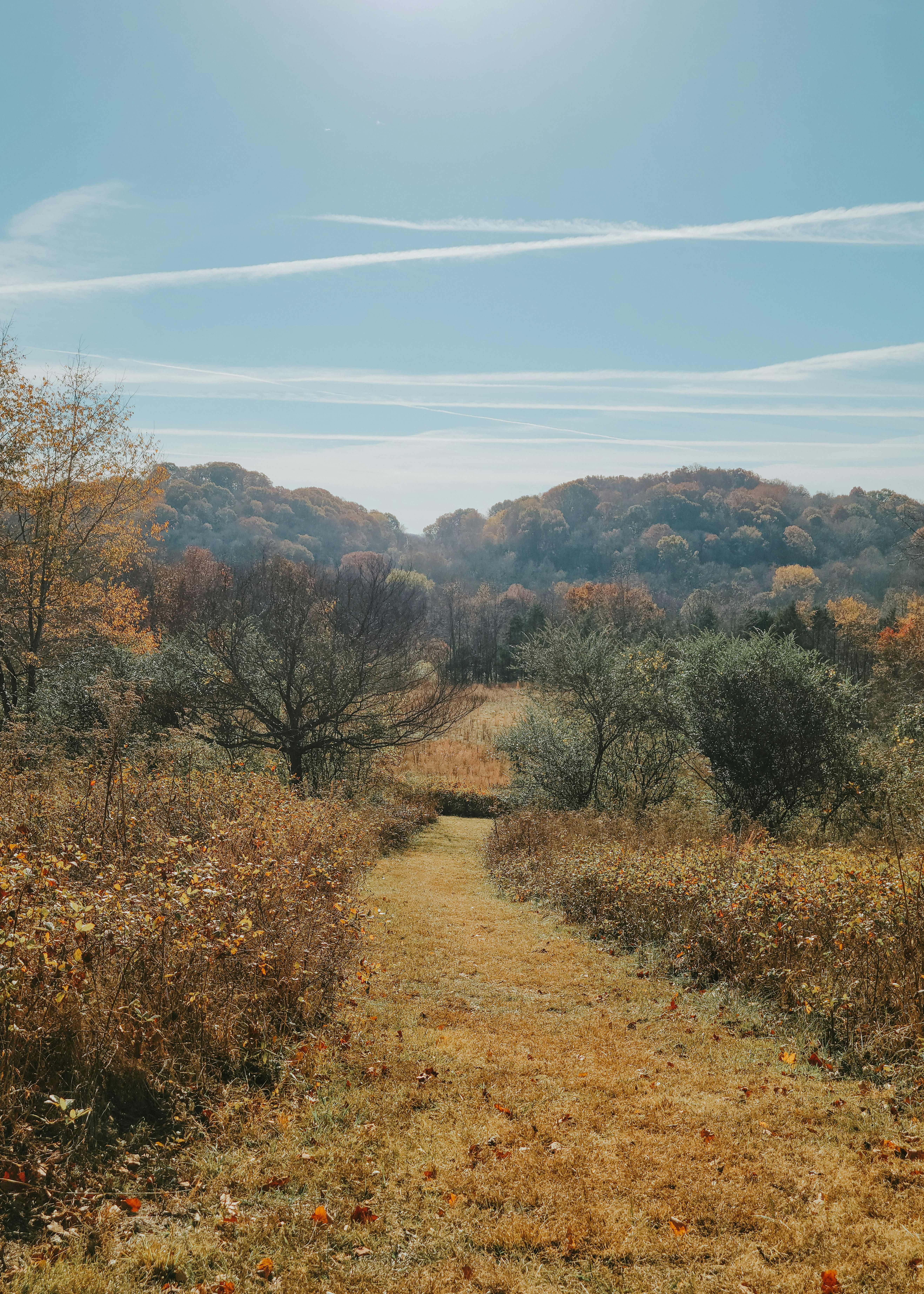 Photo by fieldworkframes