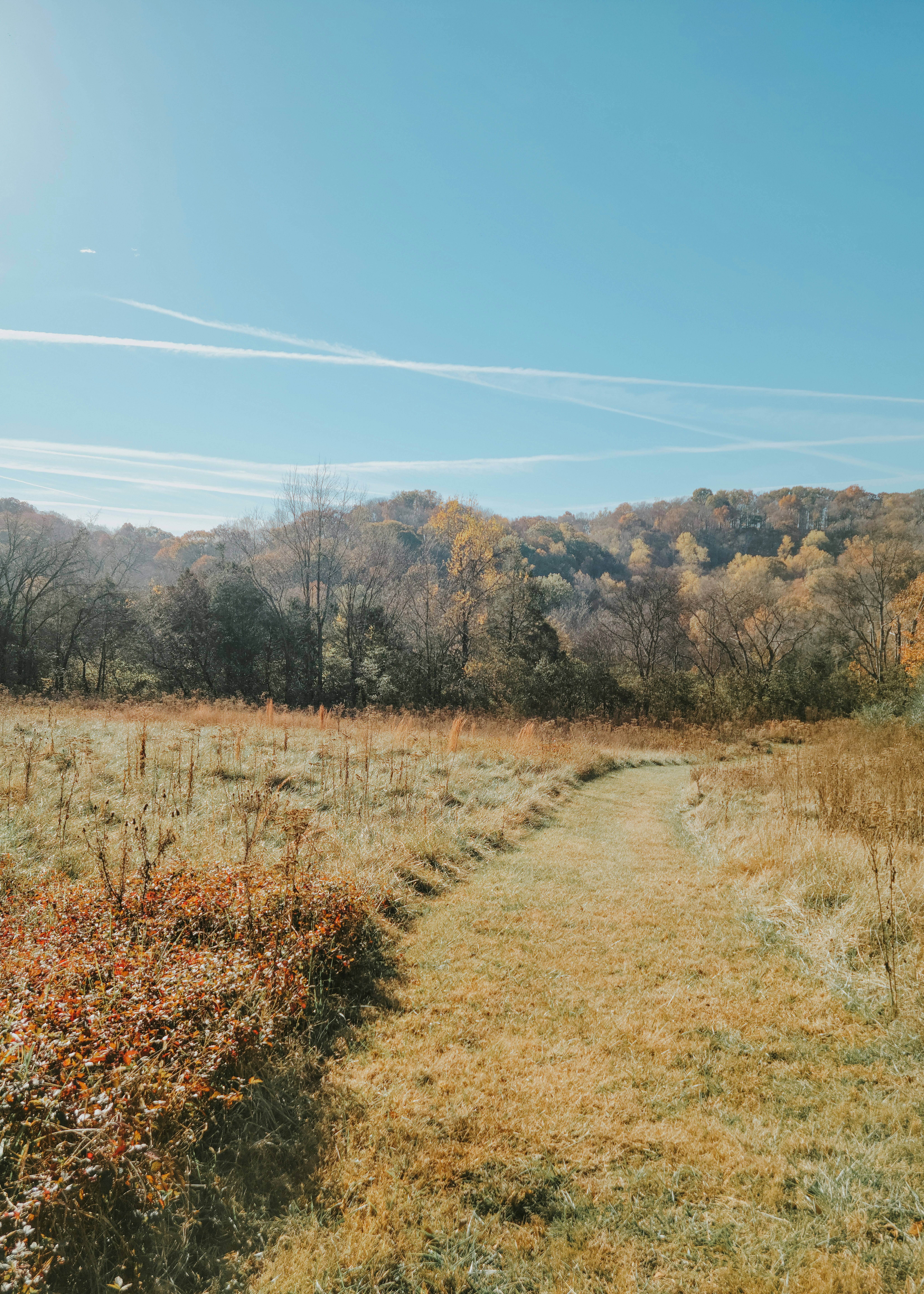 Photo by fieldworkframes