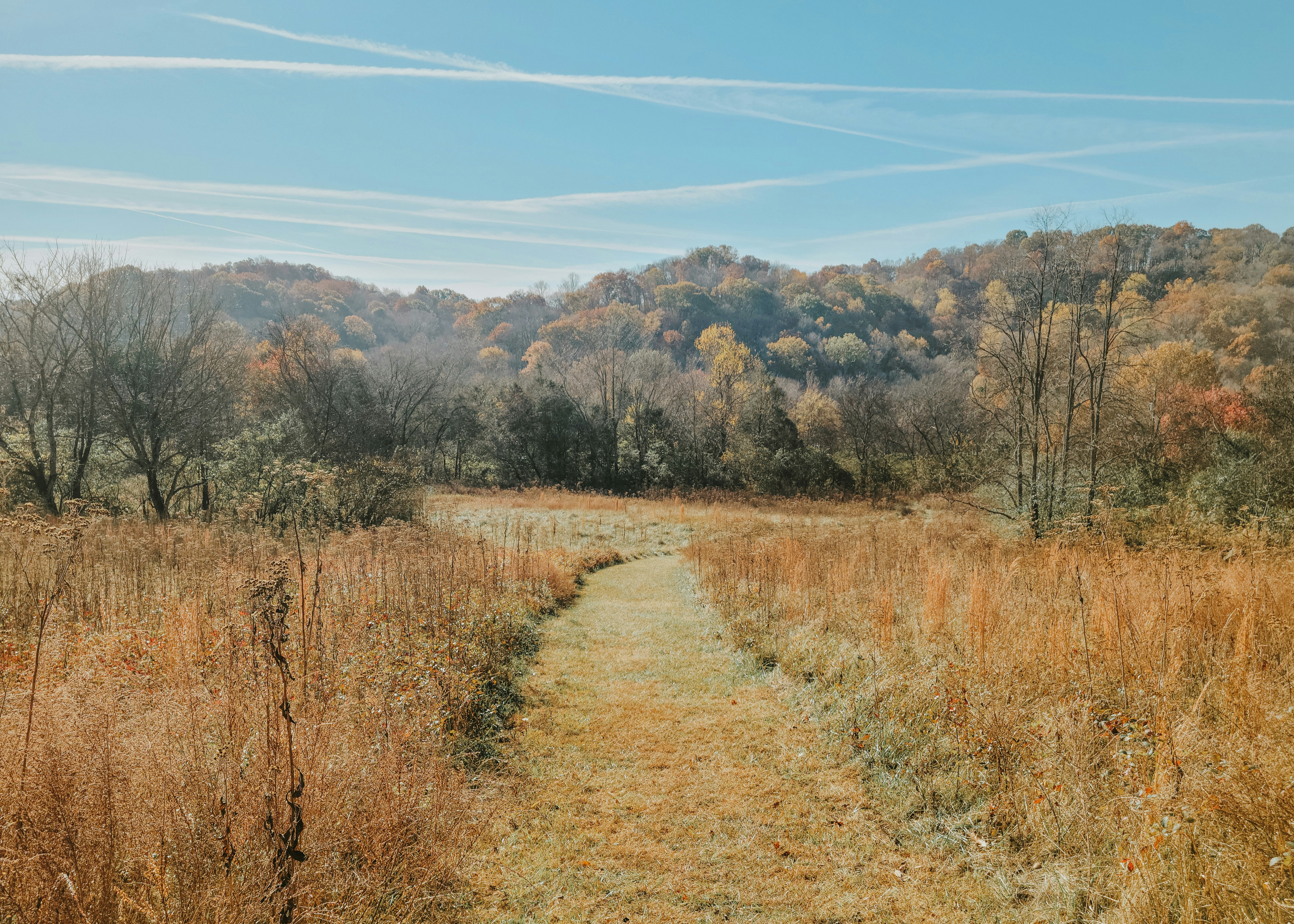 Photo by fieldworkframes