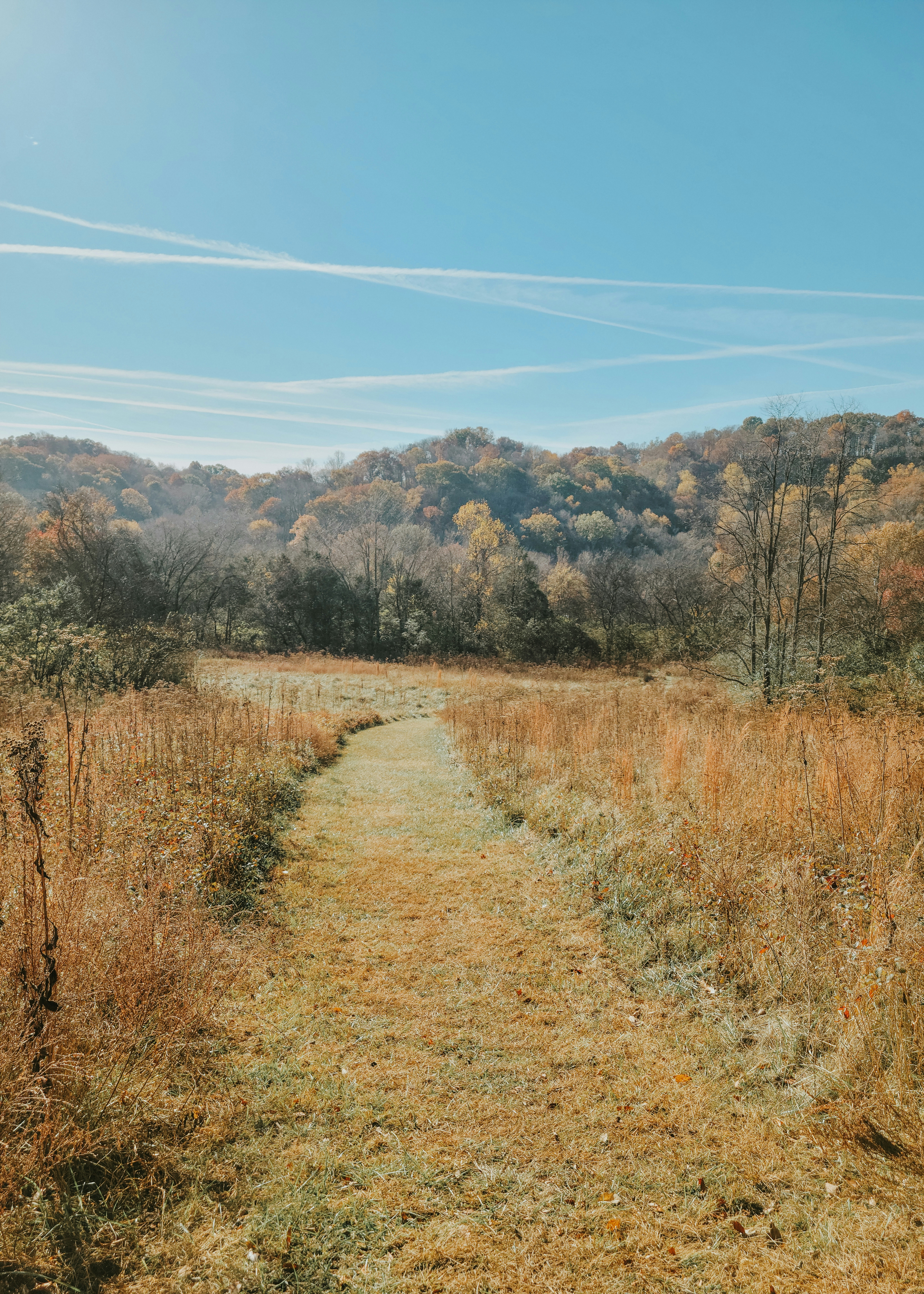 Photo by fieldworkframes