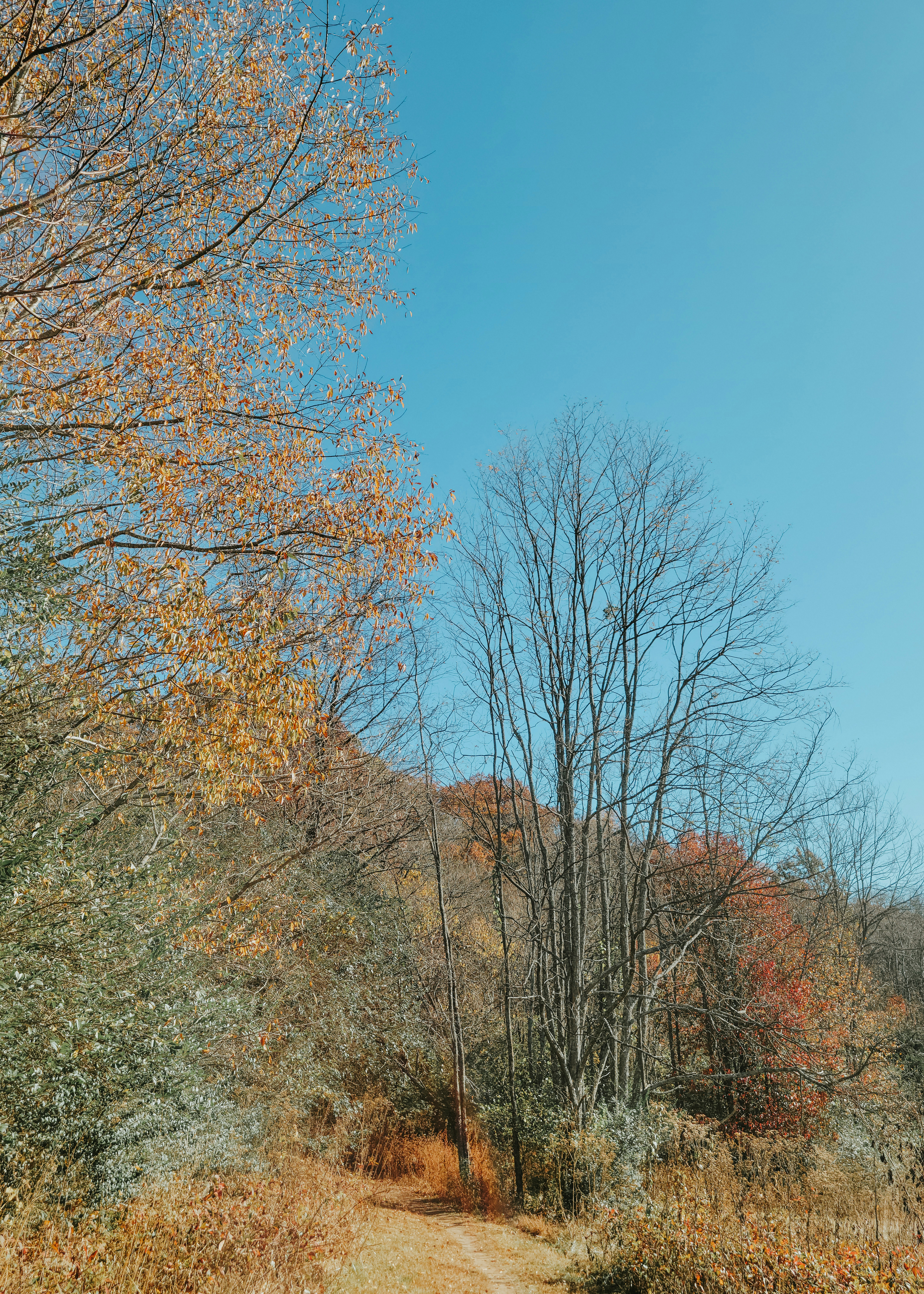 Photo by fieldworkframes