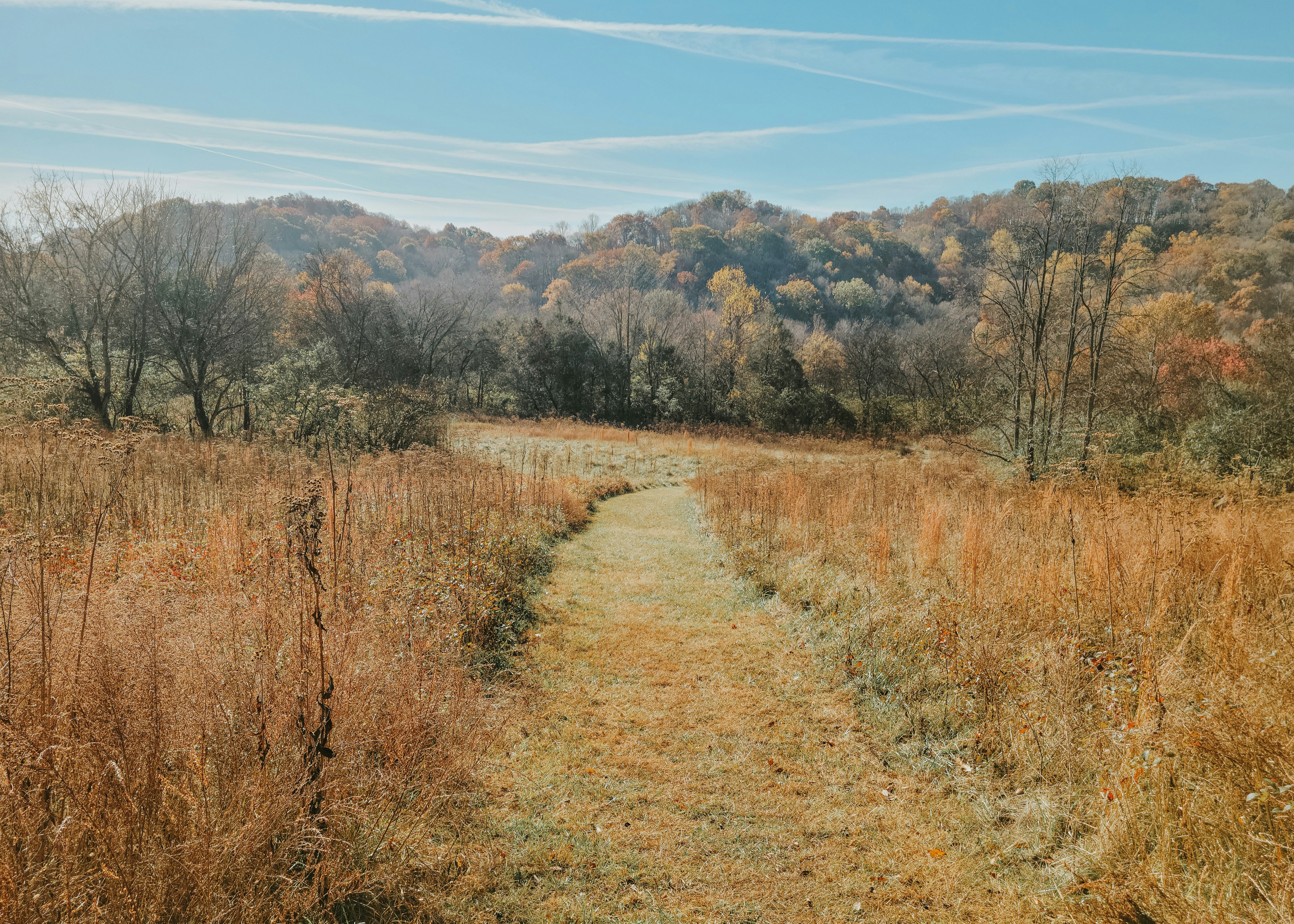 Photo by fieldworkframes