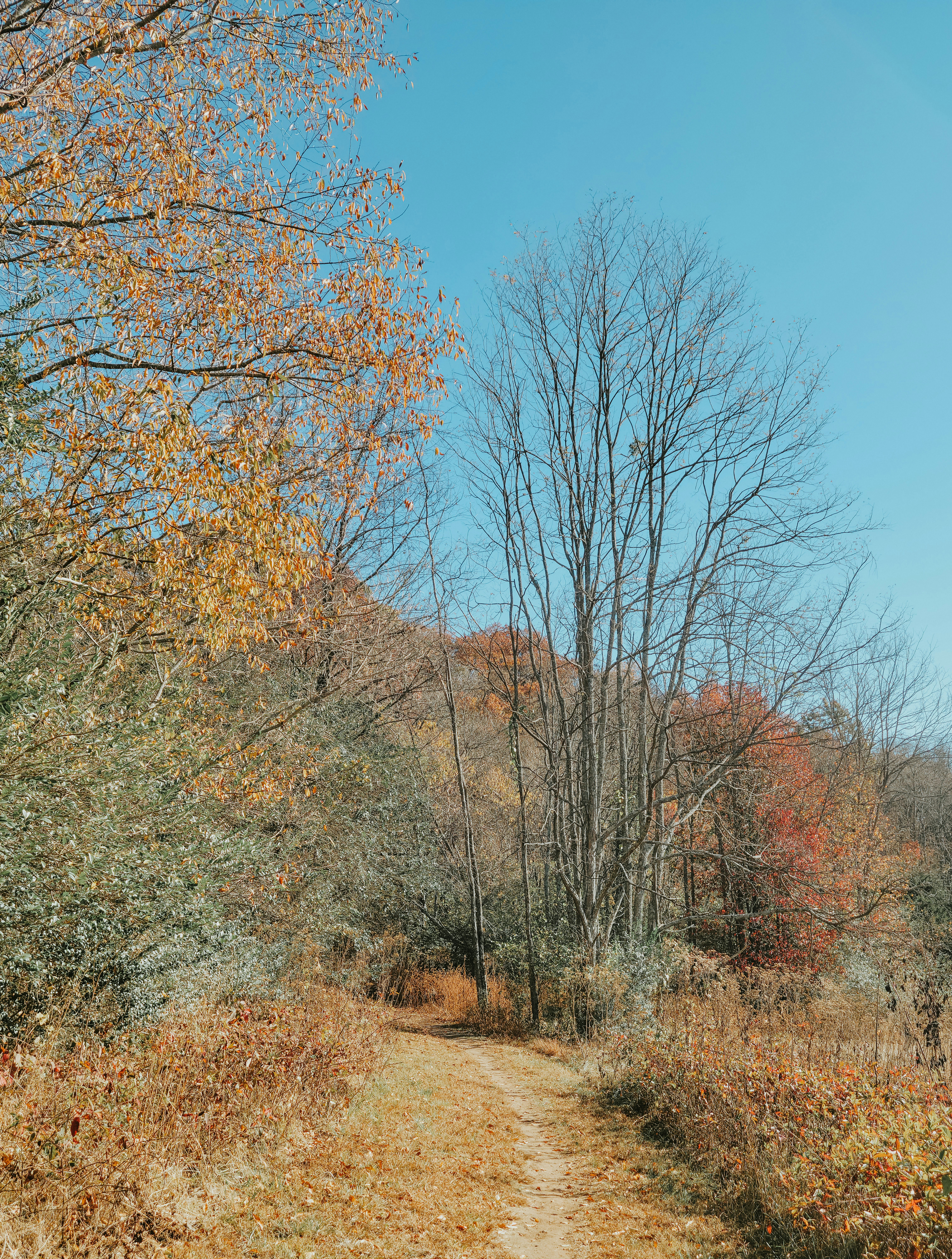 Photo by fieldworkframes