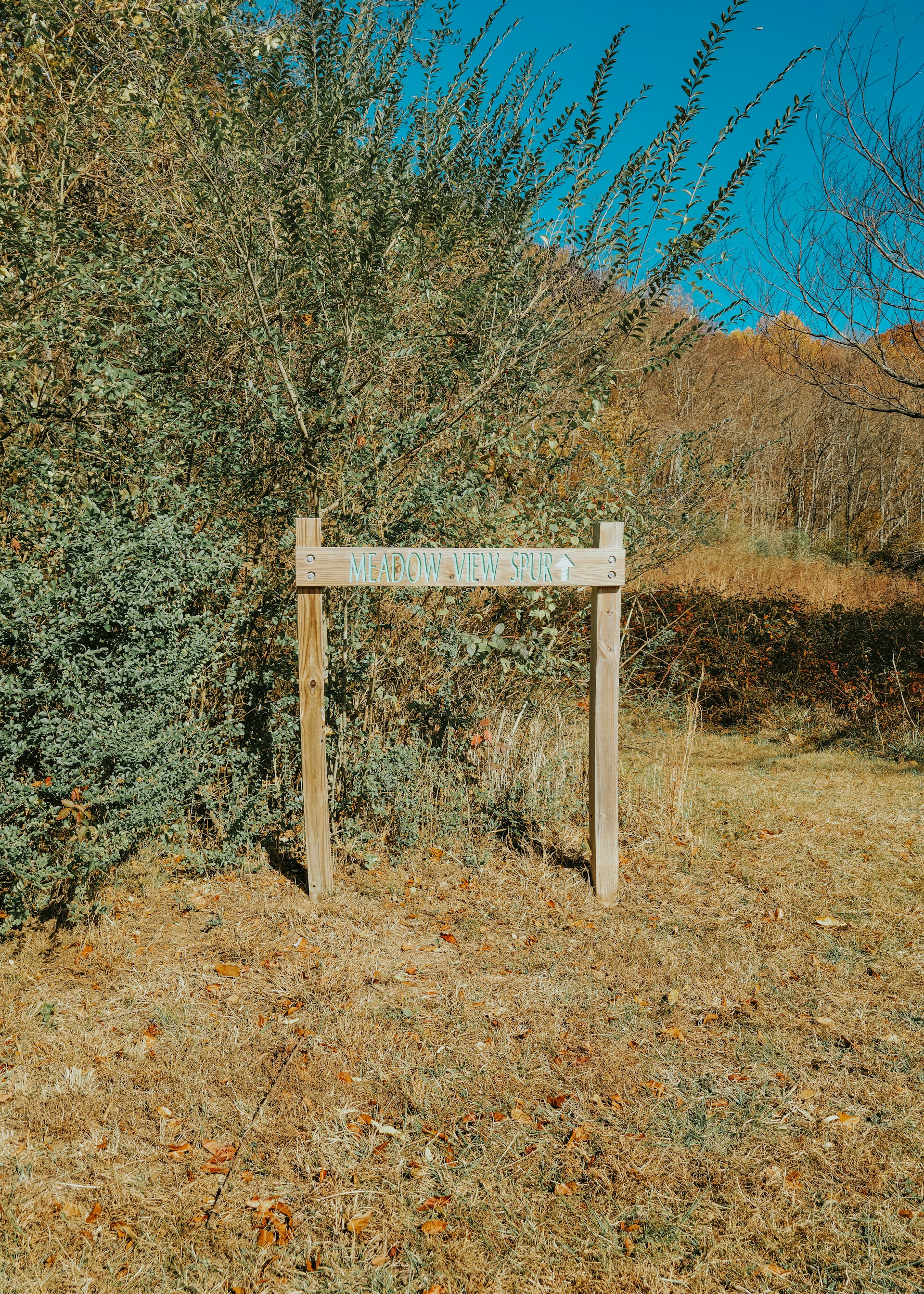 gray computer monitor