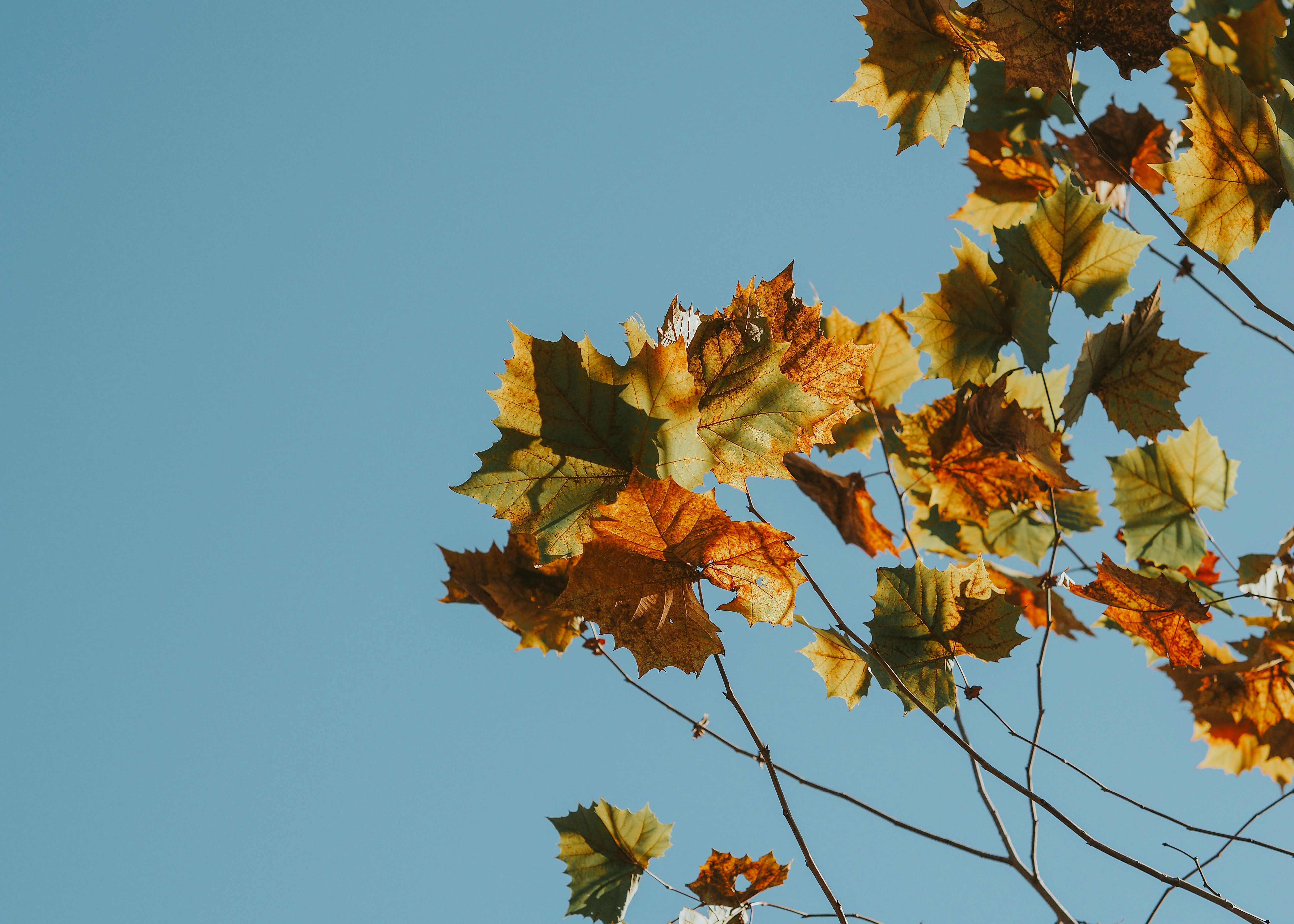 Photo by fieldworkframes