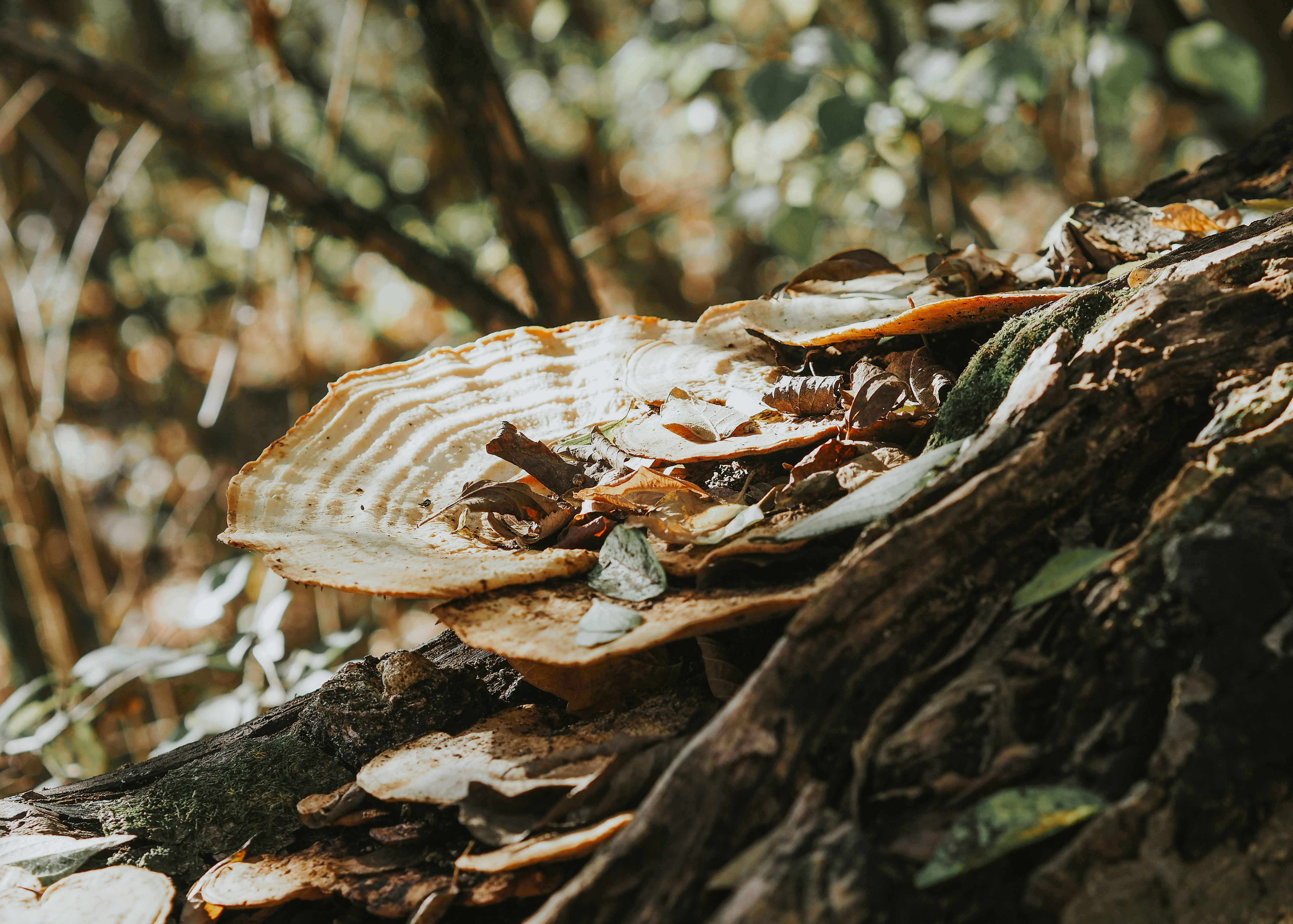 Photo by fieldworkframes