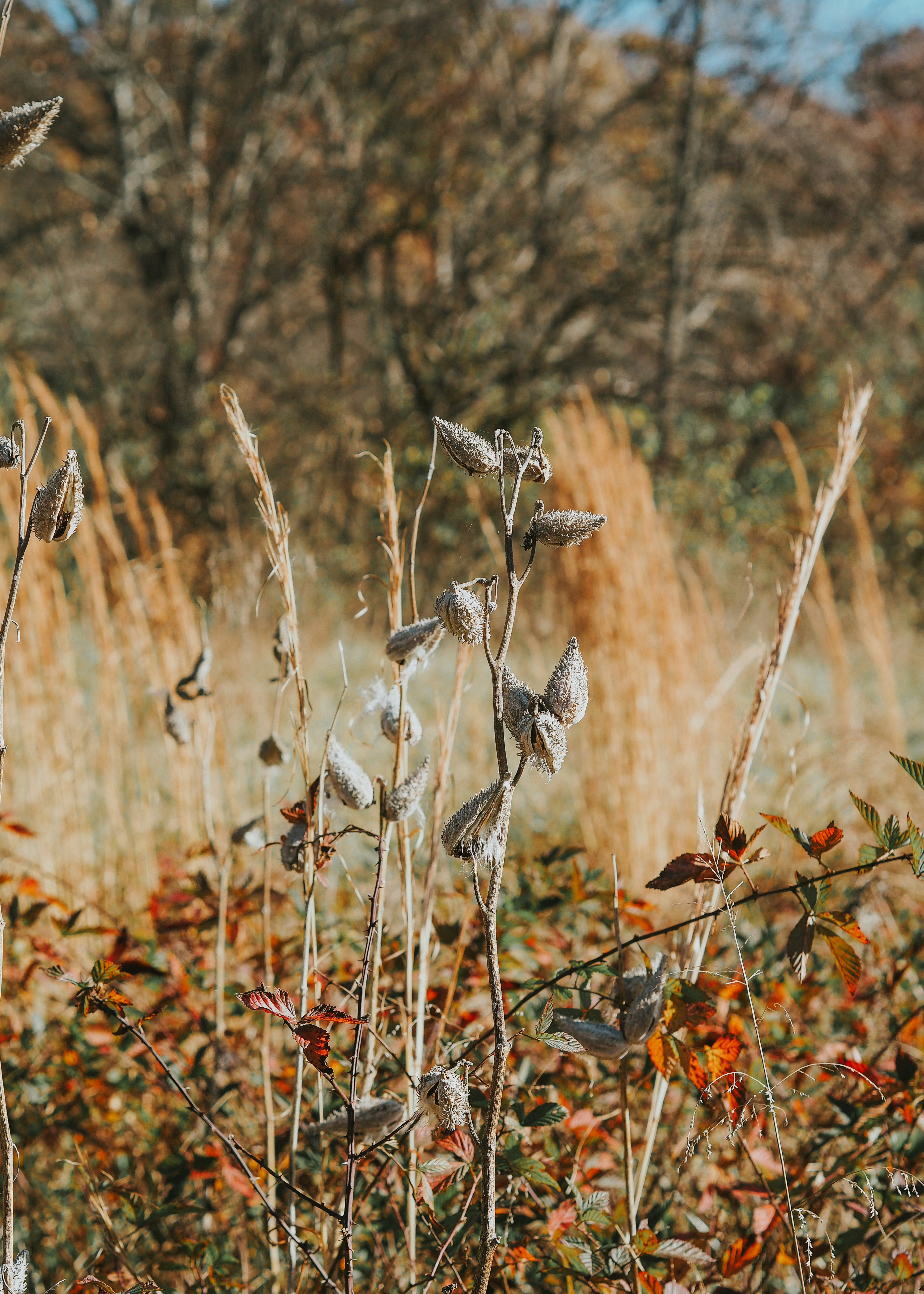 Photo by fieldworkframes