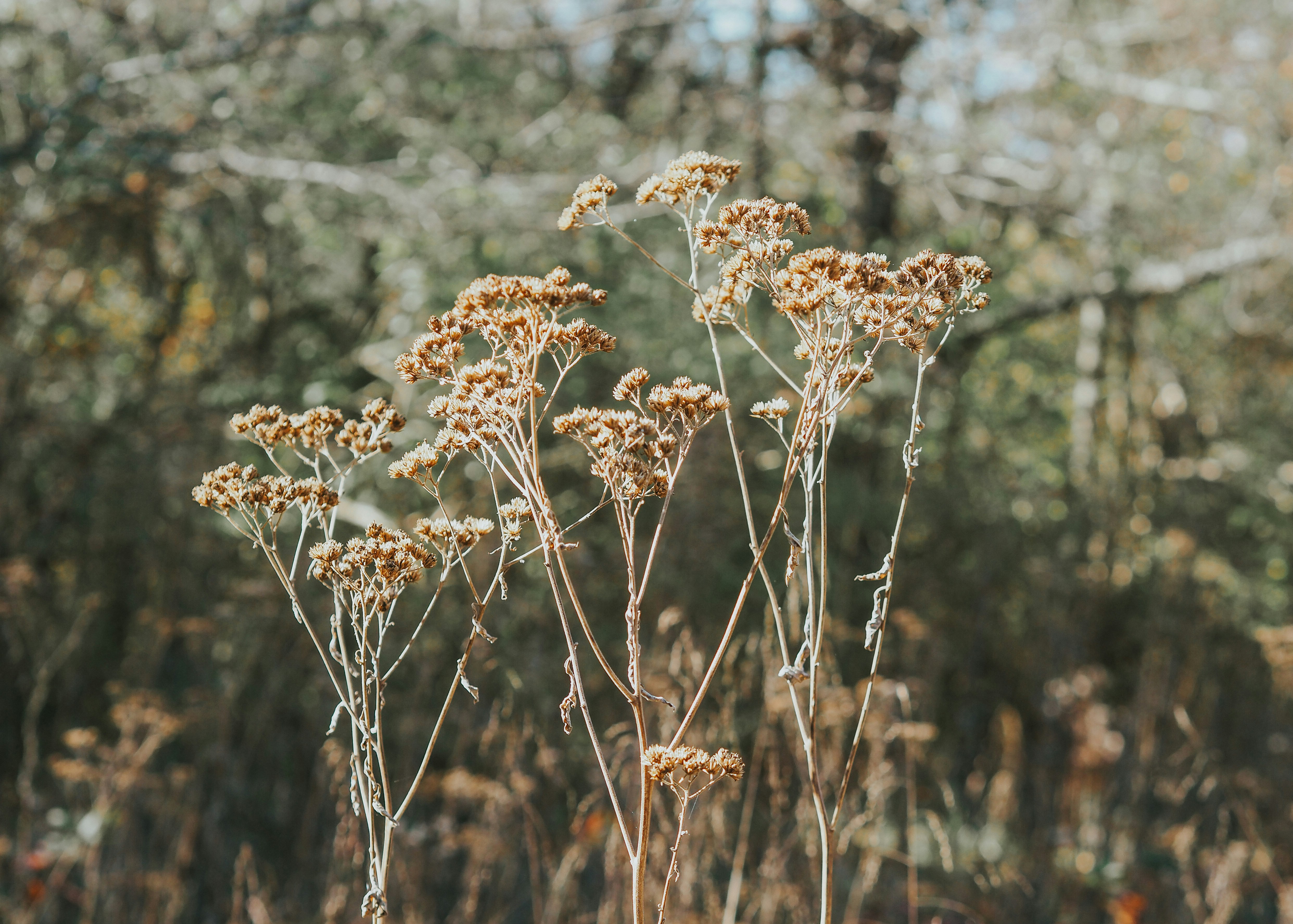 Photo by fieldworkframes