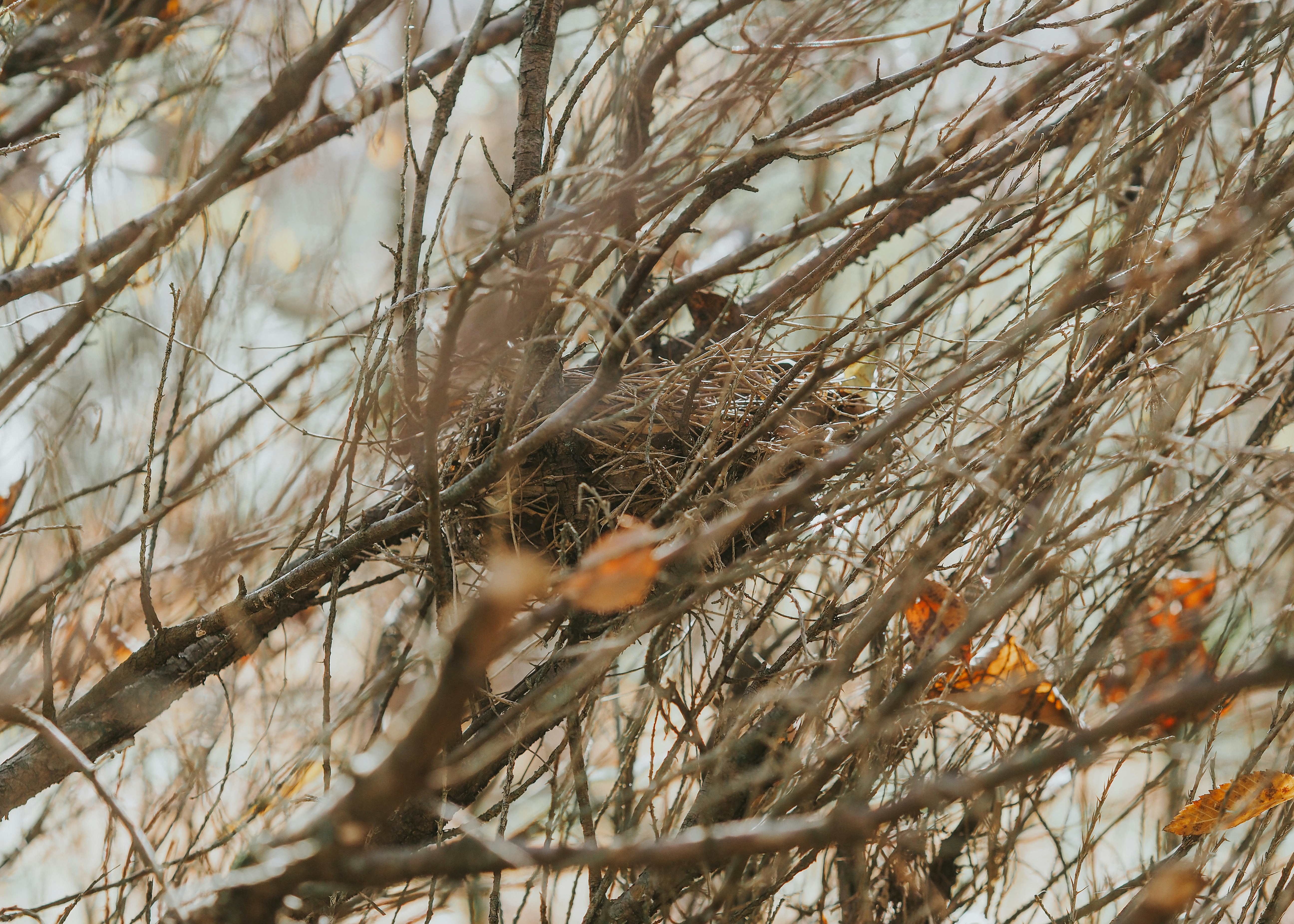 Photo by fieldworkframes