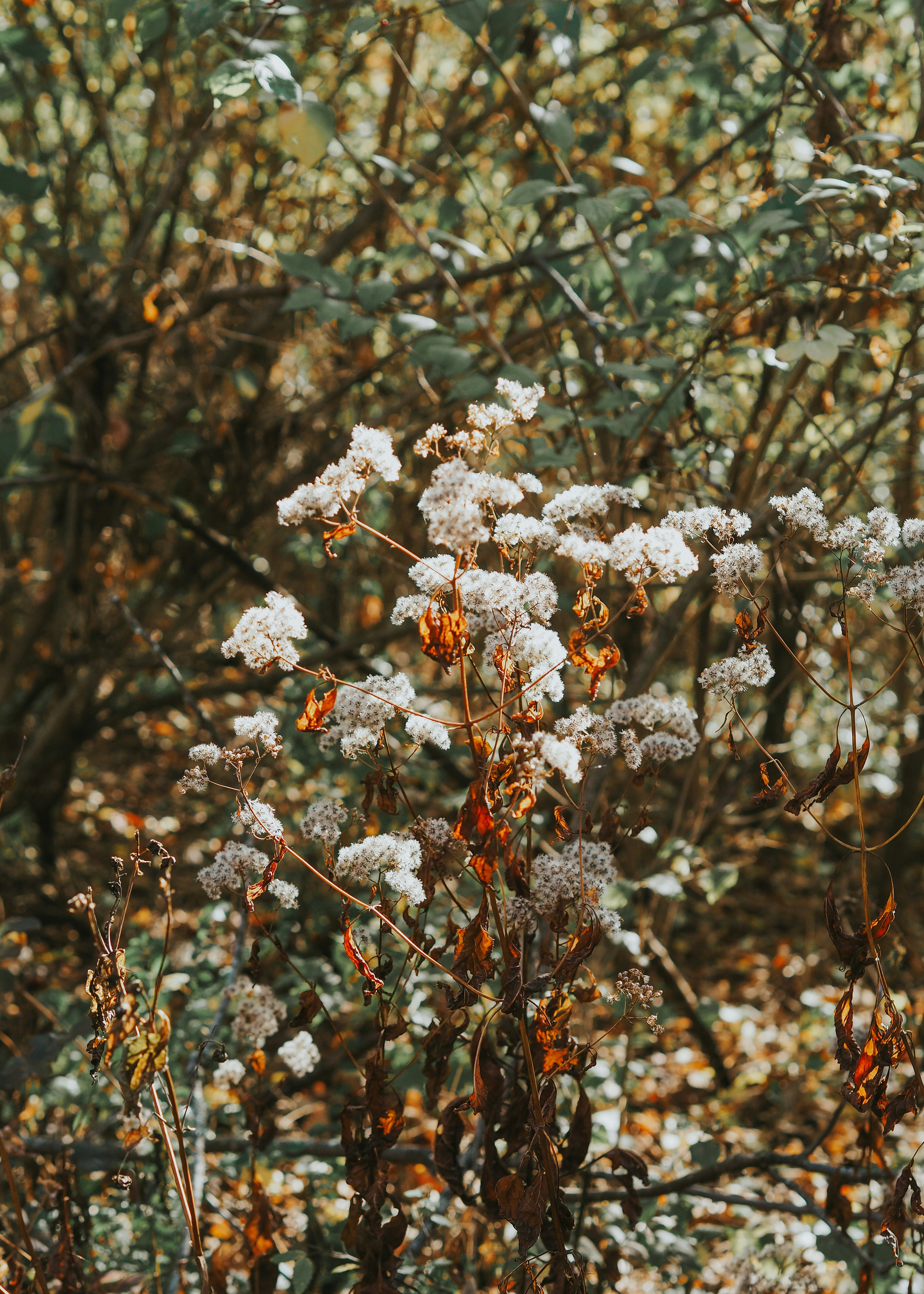 Photo by fieldworkframes