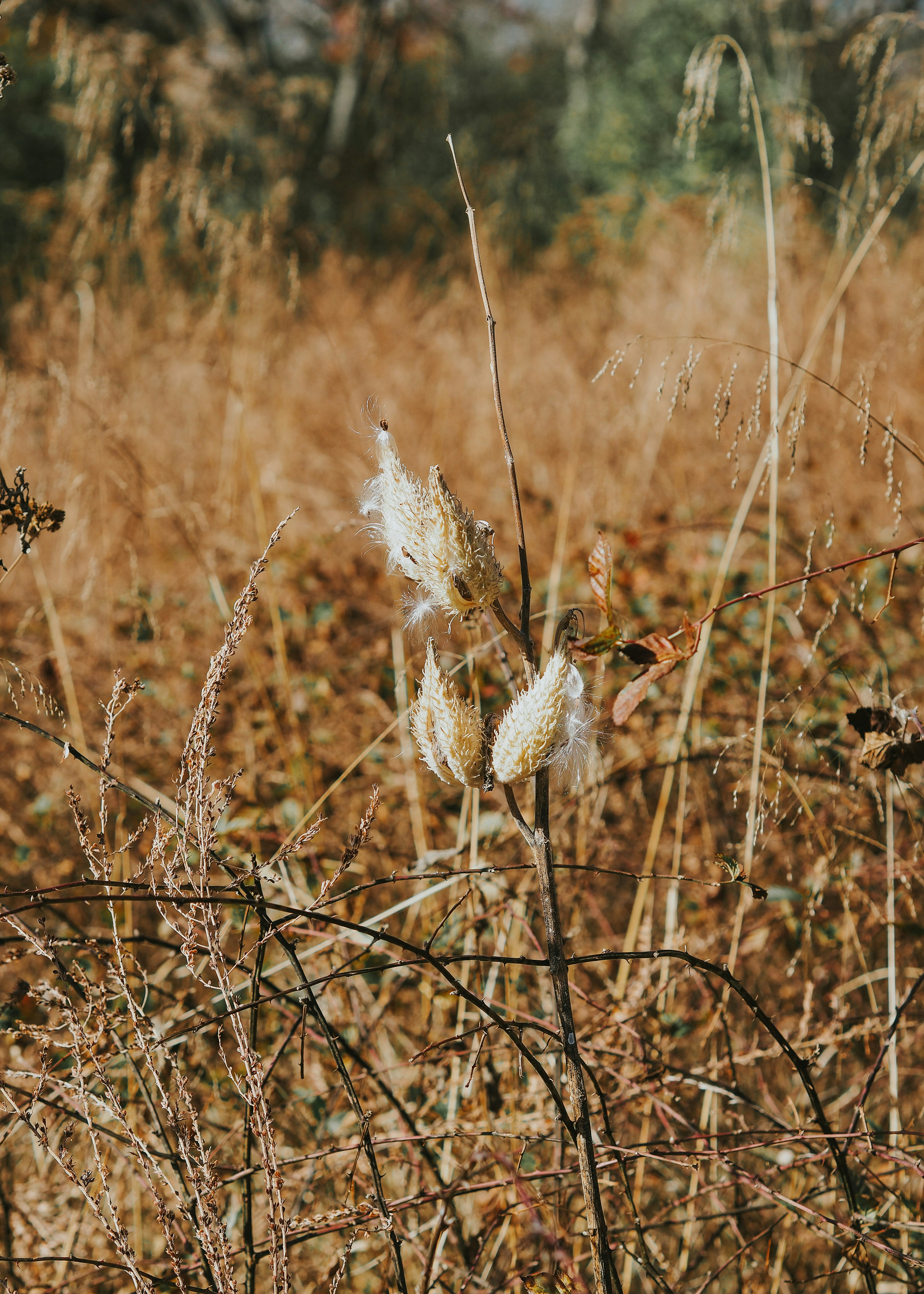 Photo by fieldworkframes