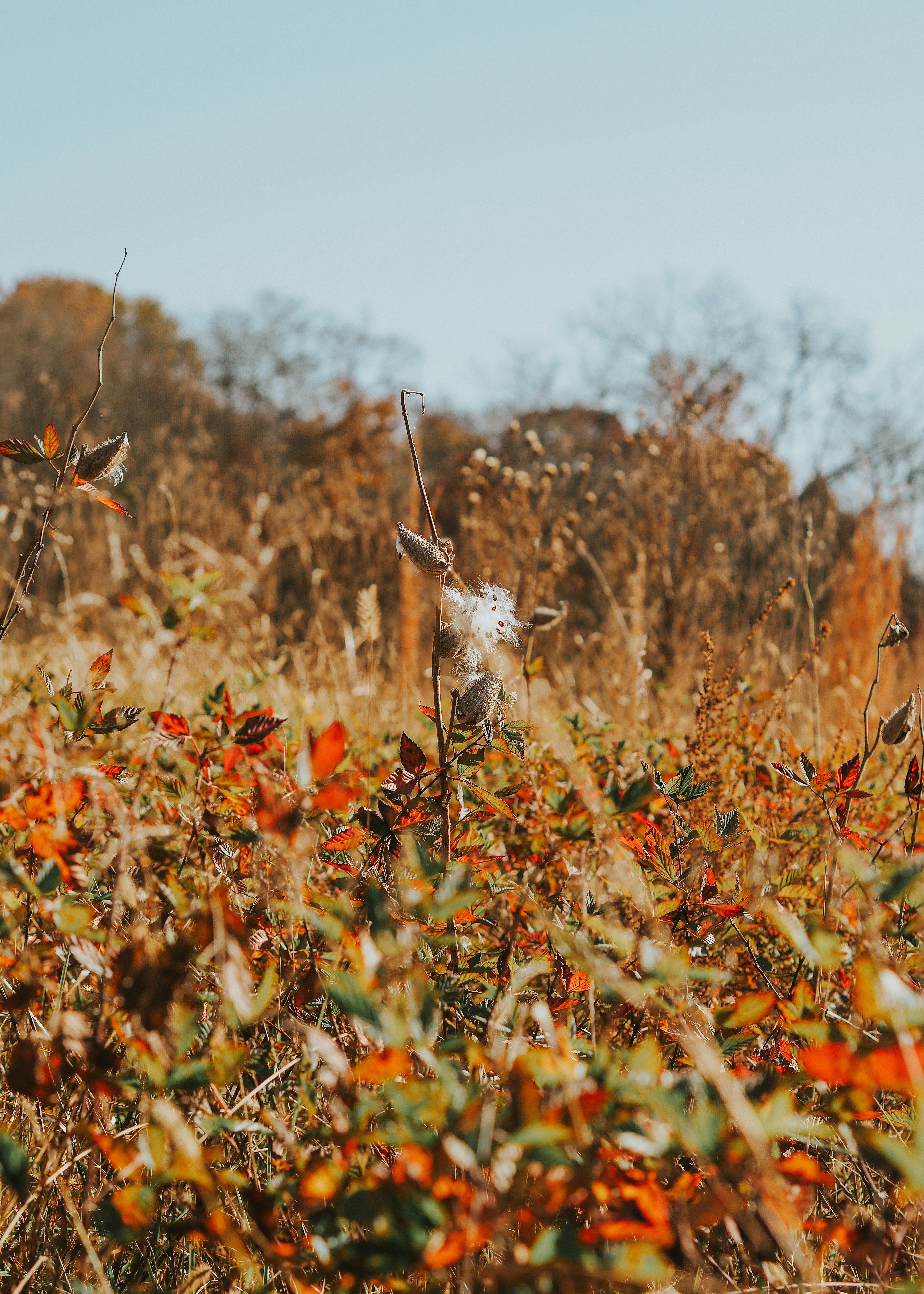 Photo by fieldworkframes