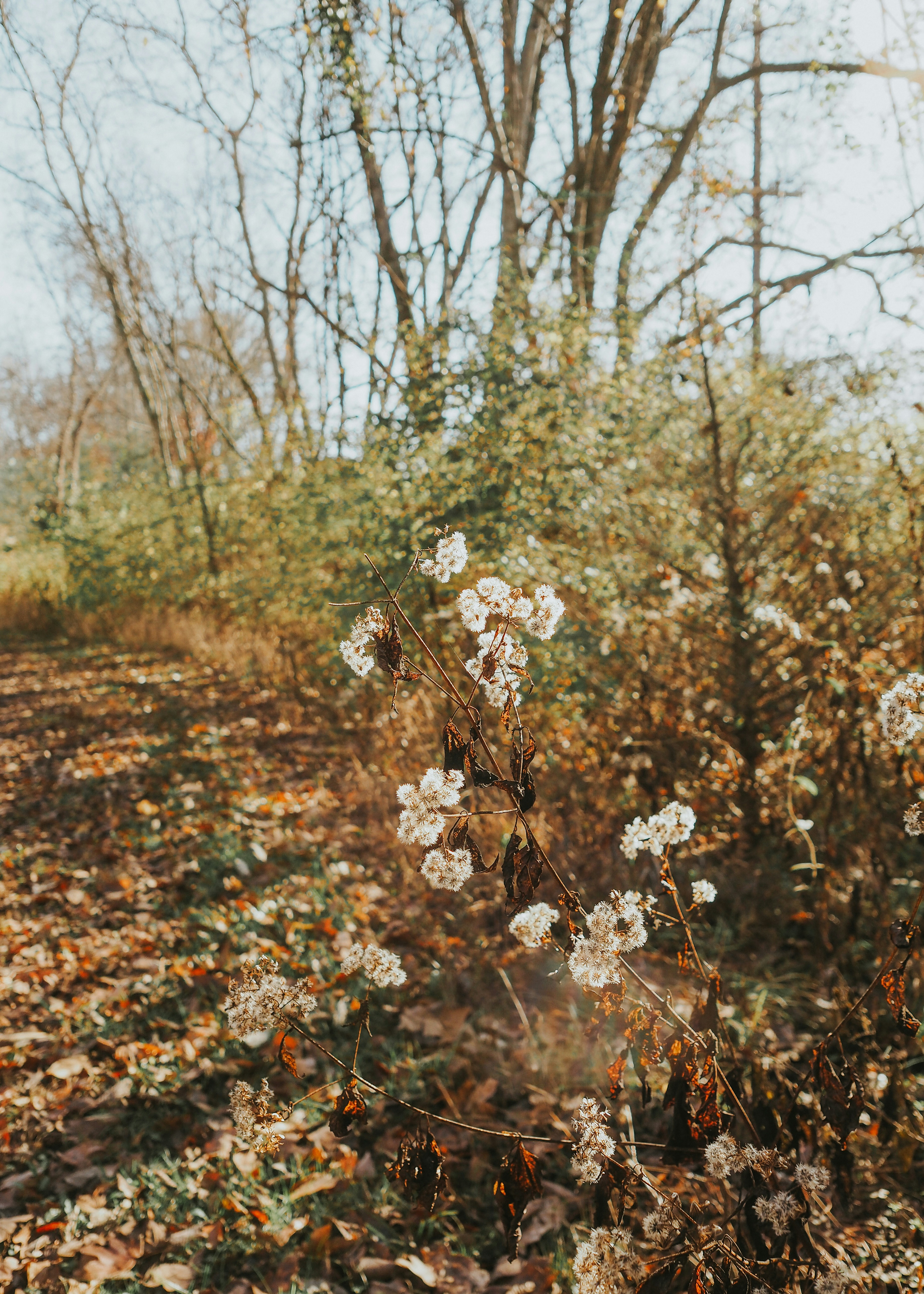 Photo by fieldworkframes