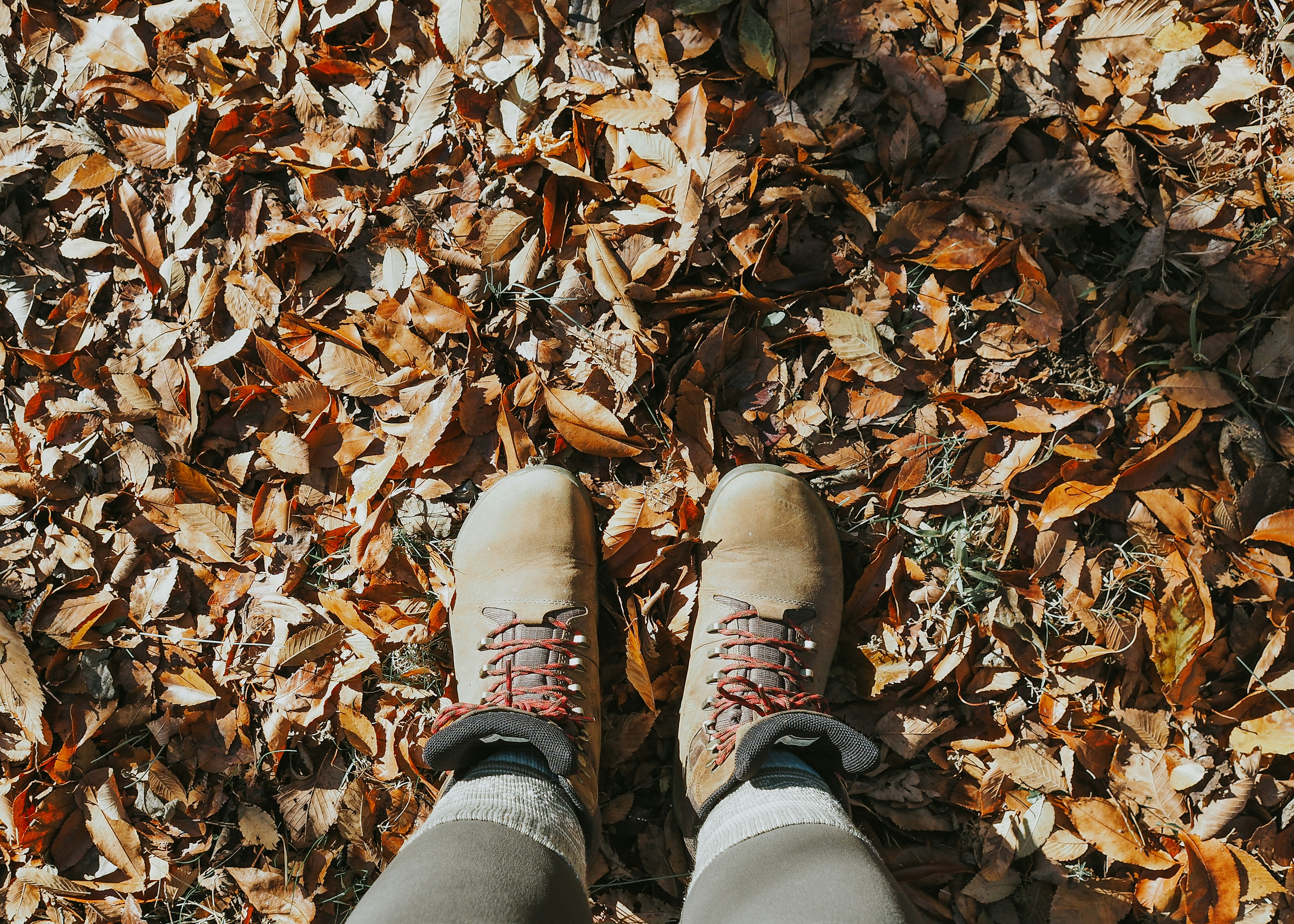 Photo by fieldworkframes