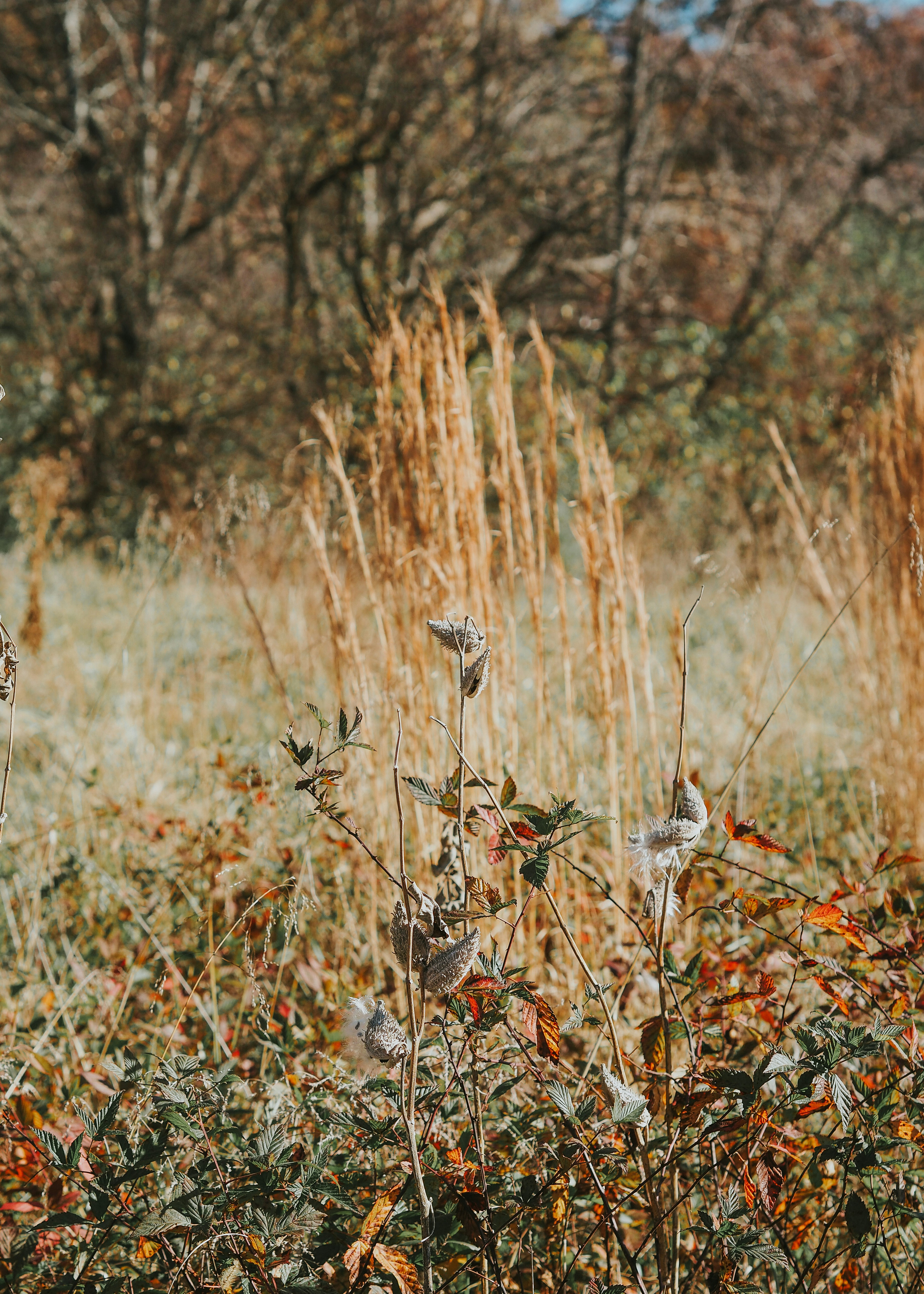 Photo by fieldworkframes