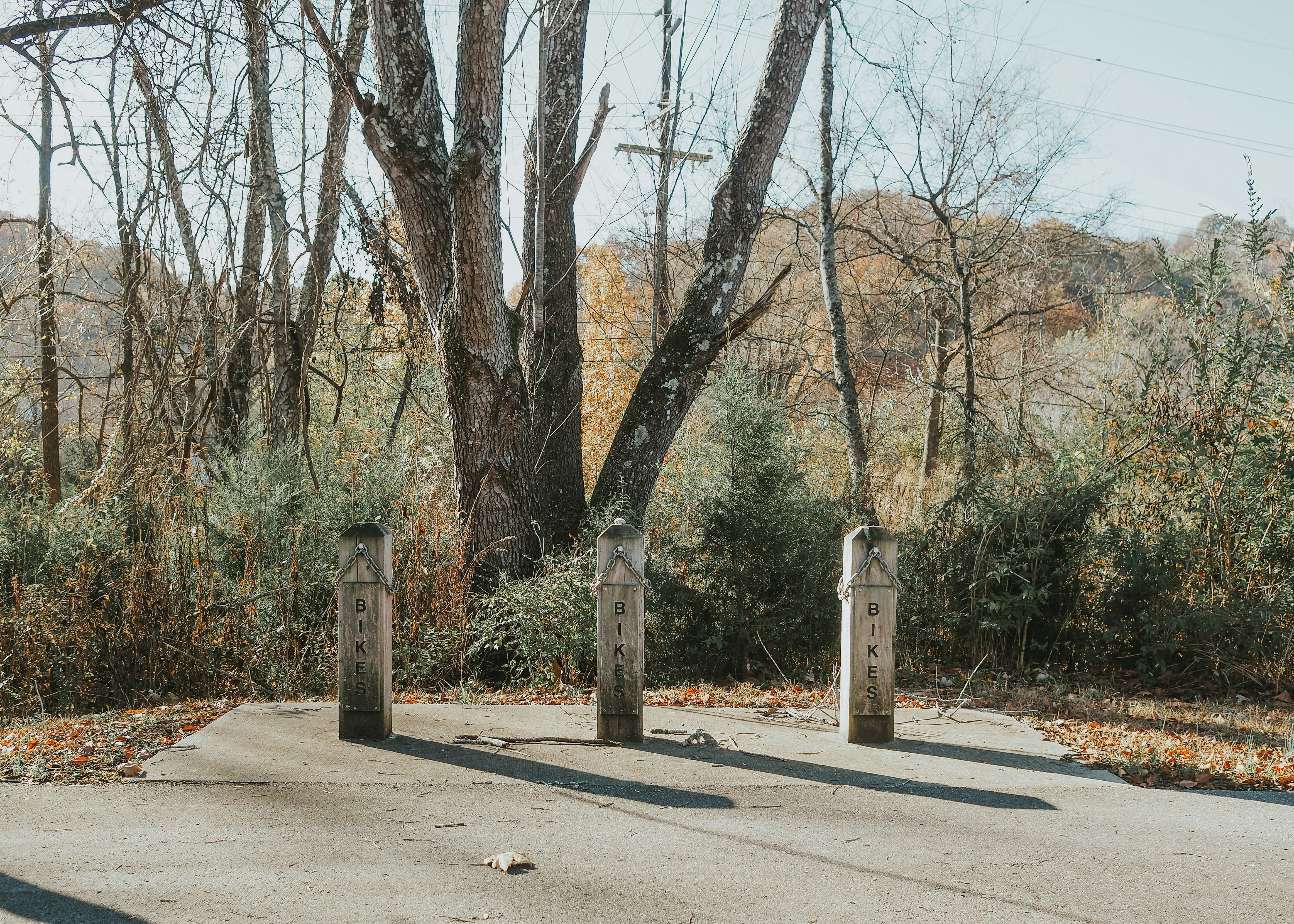 Photo by fieldworkframes