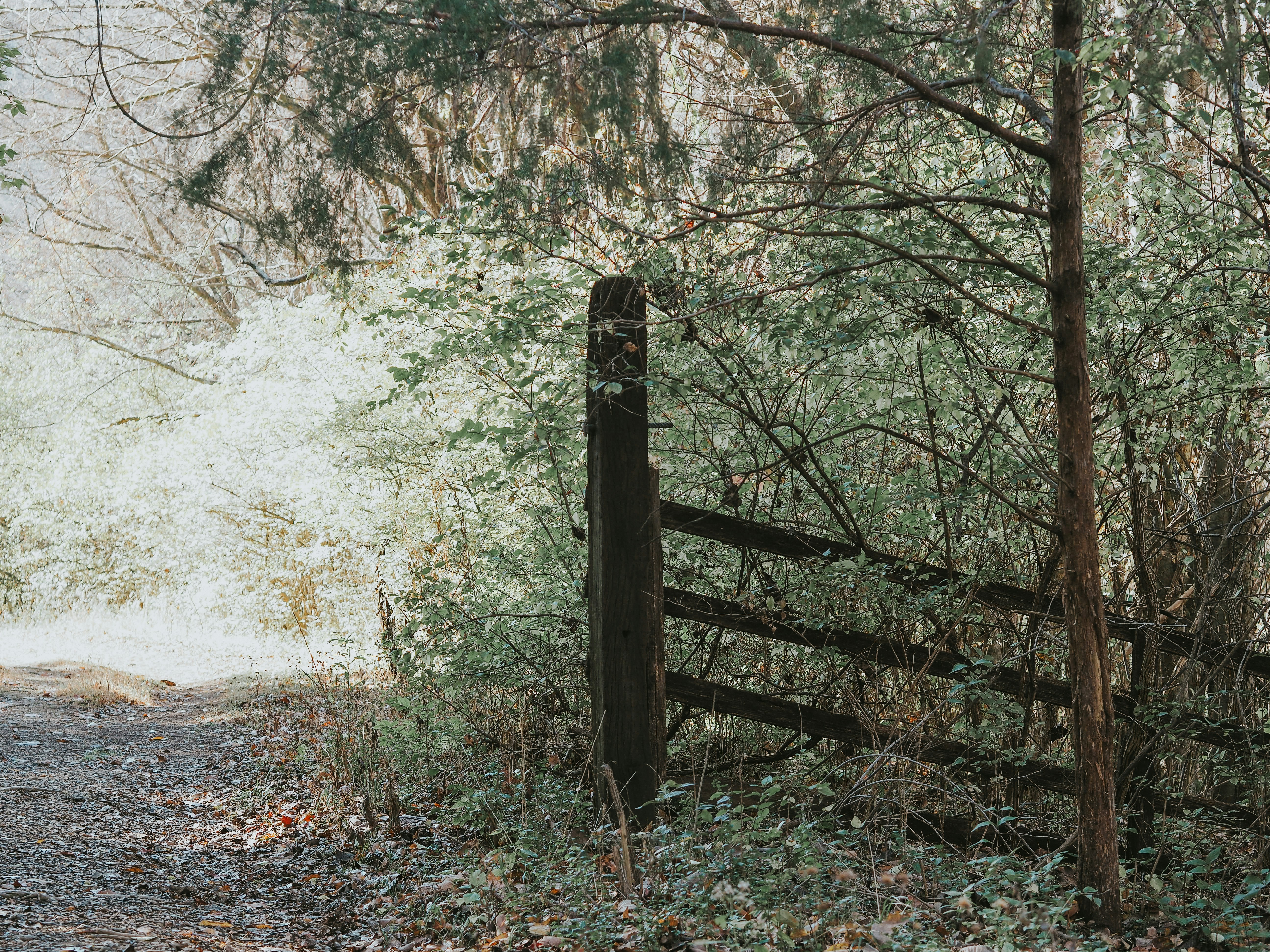 Photo by fieldworkframes