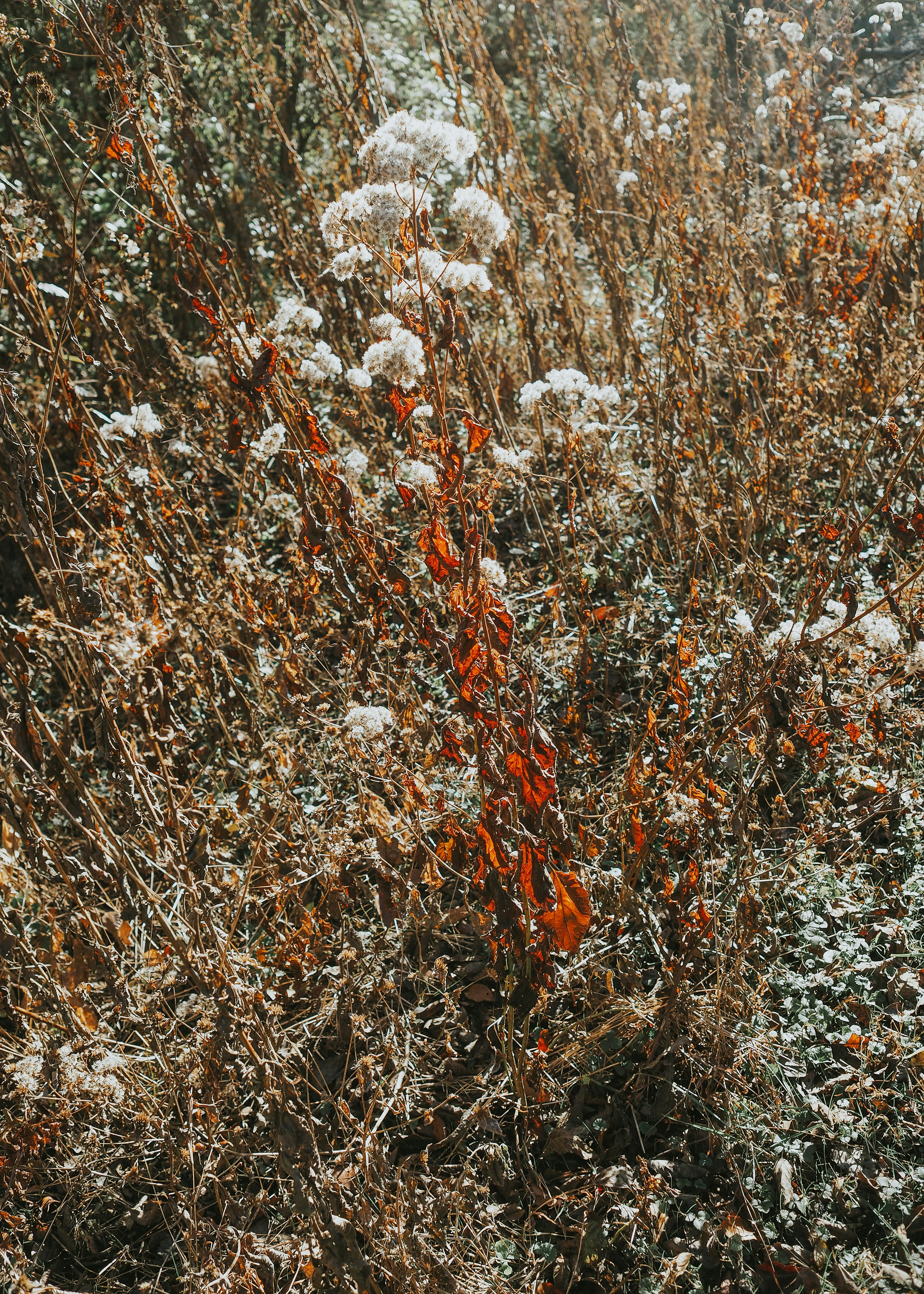 Photo by fieldworkframes