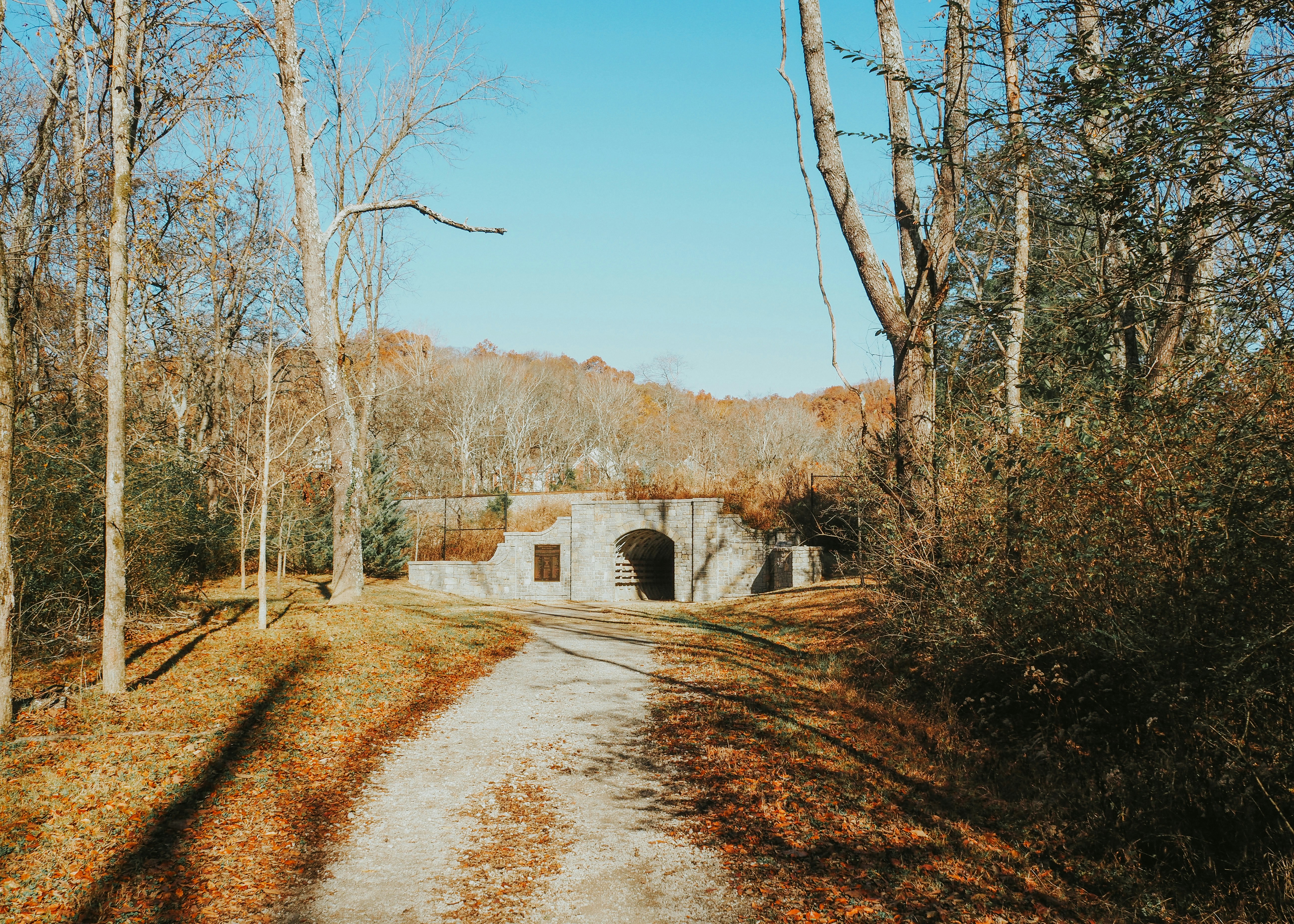 Photo by fieldworkframes