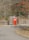 A vibrant red portable toilet with an American flag design situated on a paved path, surrounded by a wooden enclosure and fencing. The background consists of leafless trees and patches of foliage, capturing an autumn setting with fallen leaves on the ground.