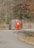A vibrant red portable toilet with an American flag design situated on a paved path, surrounded by a wooden enclosure and fencing. The background consists of leafless trees and patches of foliage, capturing an autumn setting with fallen leaves on the ground.