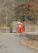 A vibrant red portable toilet with an American flag design situated on a paved path, surrounded by a wooden enclosure and fencing. The background consists of leafless trees and patches of foliage, capturing an autumn setting with fallen leaves on the ground.