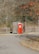 A vibrant red portable toilet with an American flag design situated on a paved path, surrounded by a wooden enclosure and fencing. The background consists of leafless trees and patches of foliage, capturing an autumn setting with fallen leaves on the ground.