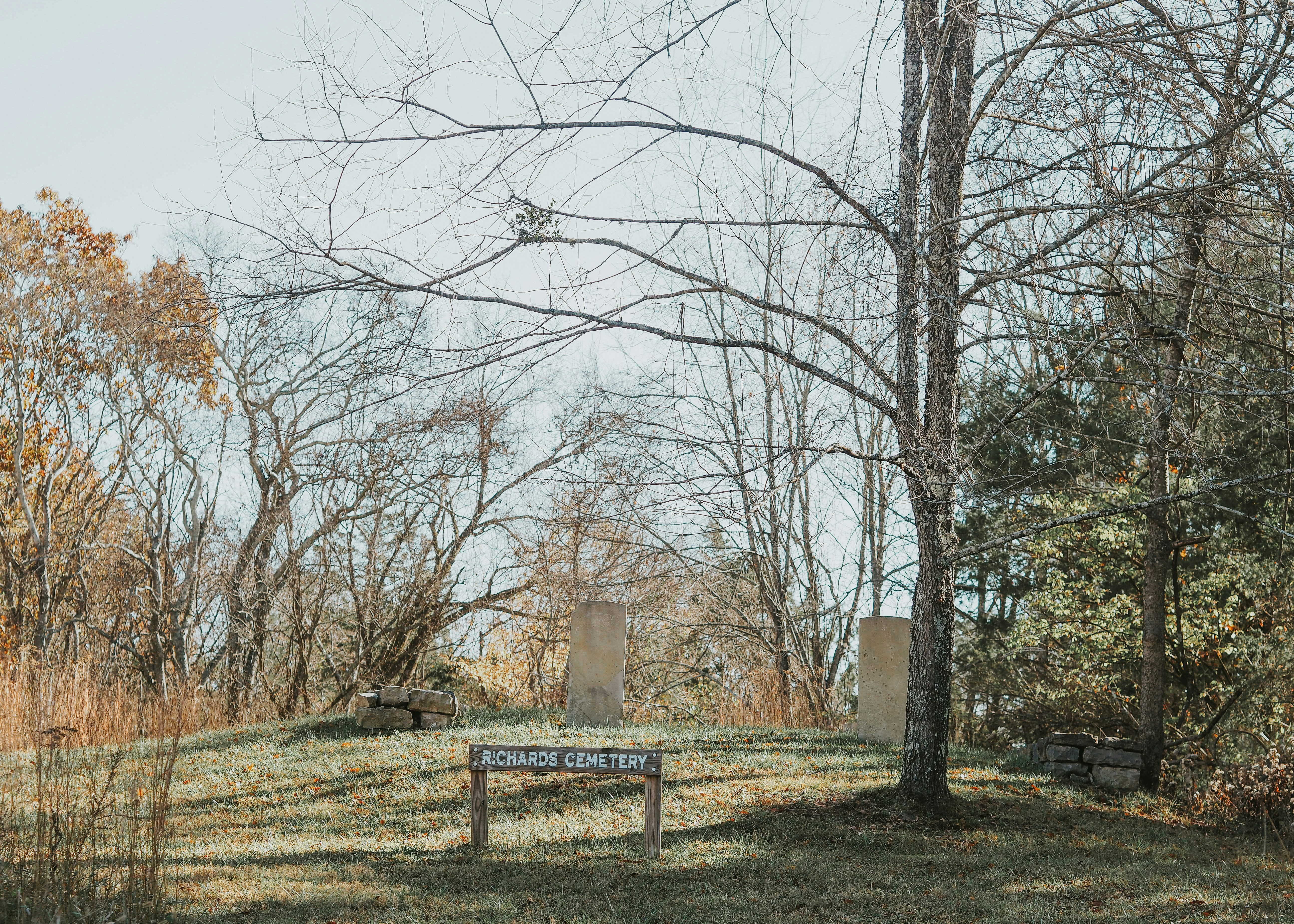 Photo by fieldworkframes