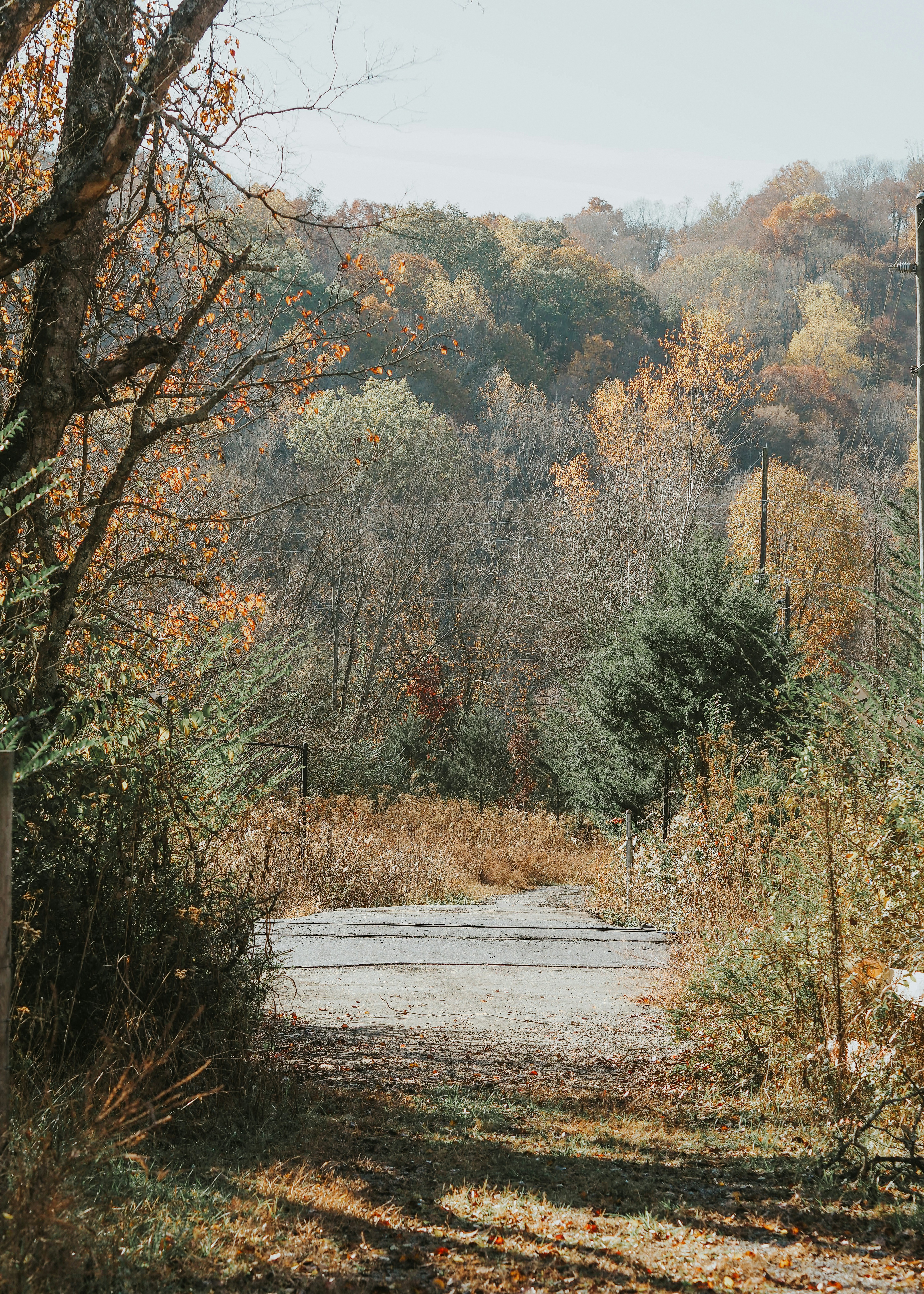 Photo by fieldworkframes