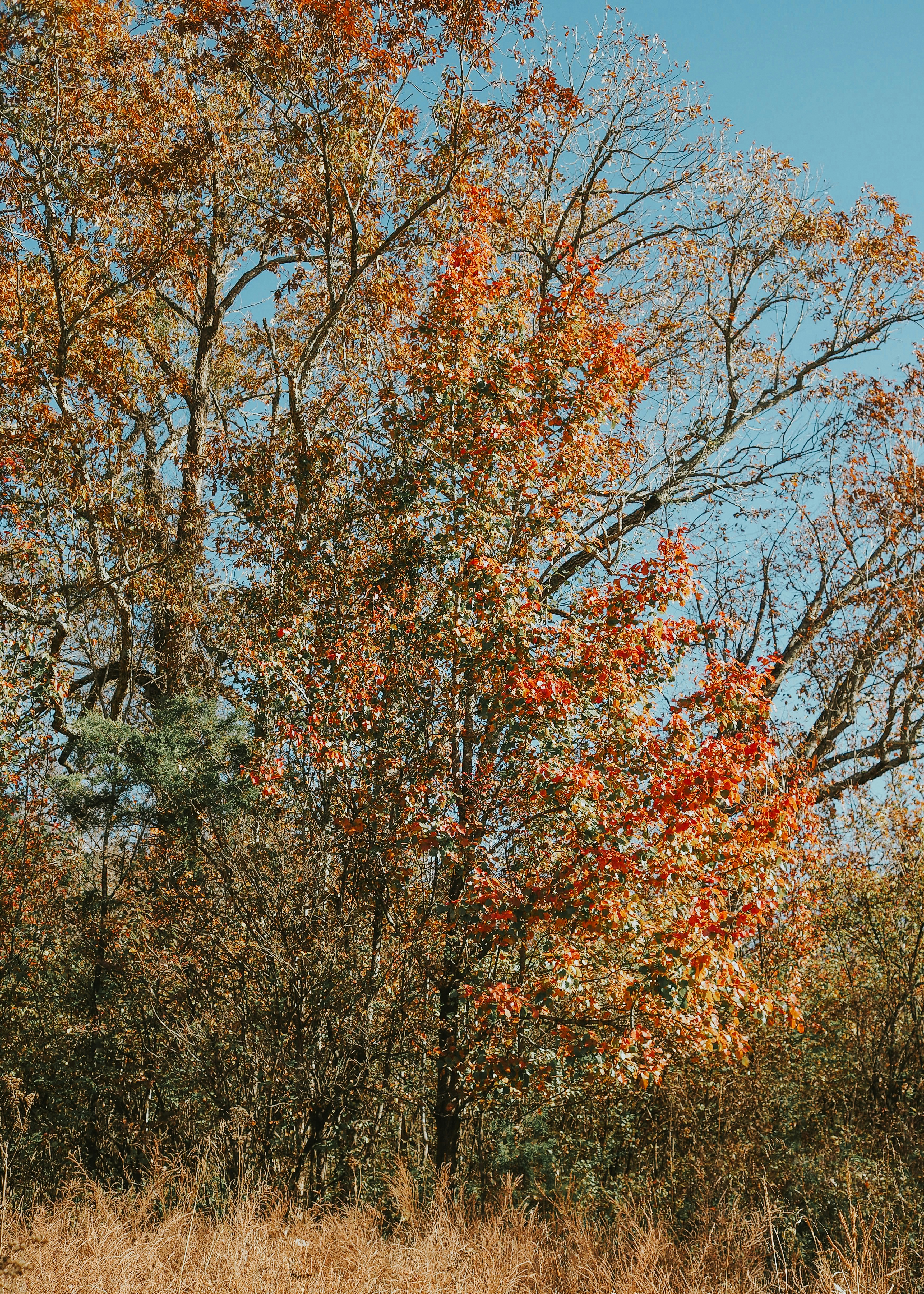 Photo by fieldworkframes