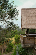 A cozy wooden veranda surrounded by lush greenery under a clear blue sky.