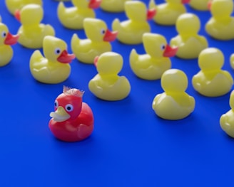 a bunch of rubber ducks sitting on a blue surface