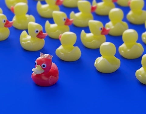 Film company shot of a bunch of rubber ducks sitting on a blue surface