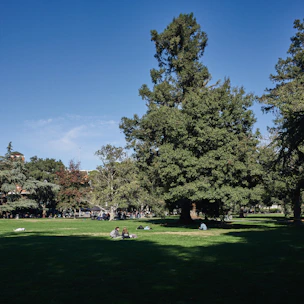 Lush green park area with benches and people enjoying a sunny afternoon nearby.
