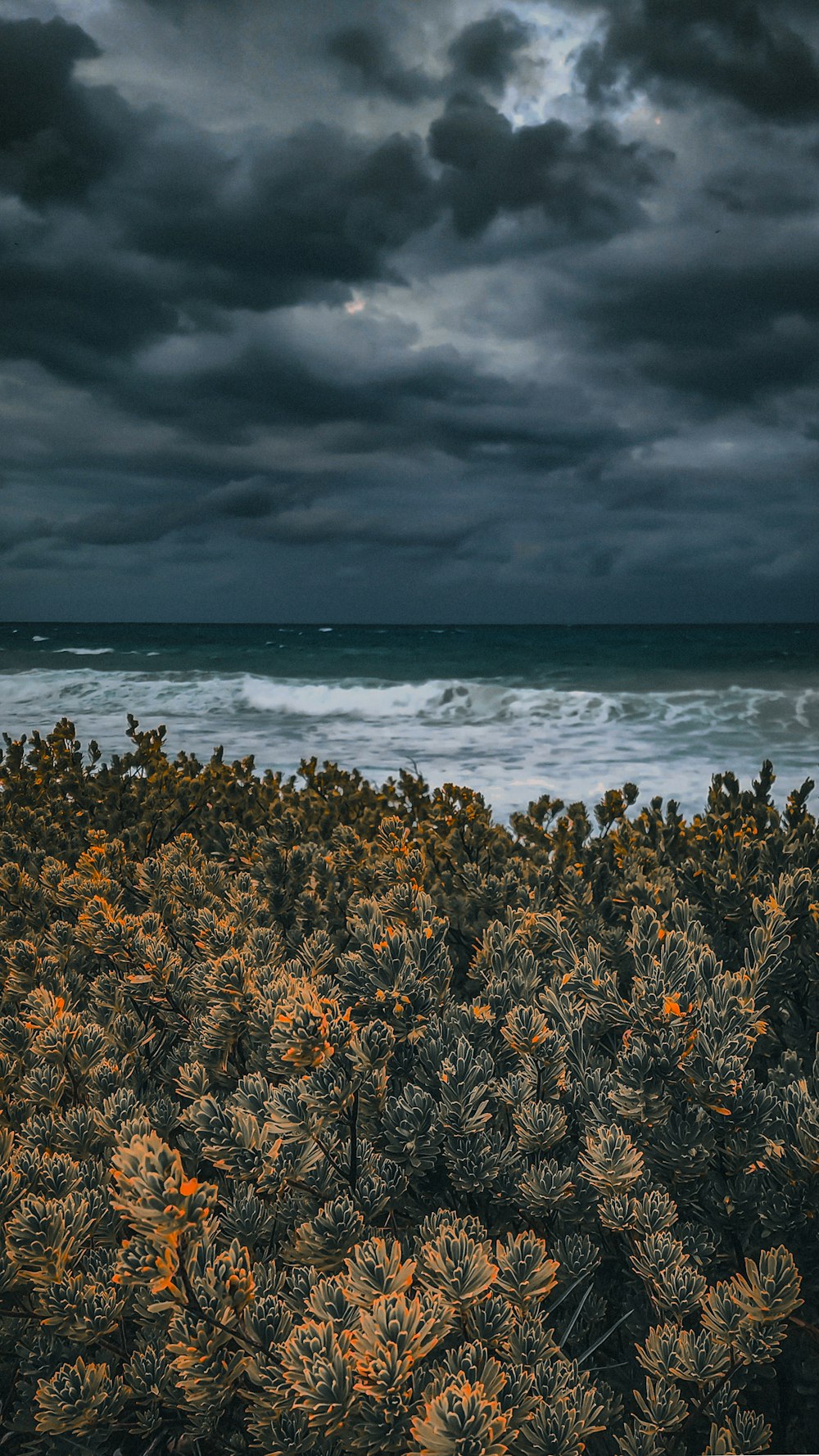 a view of the ocean with a cloudy sky