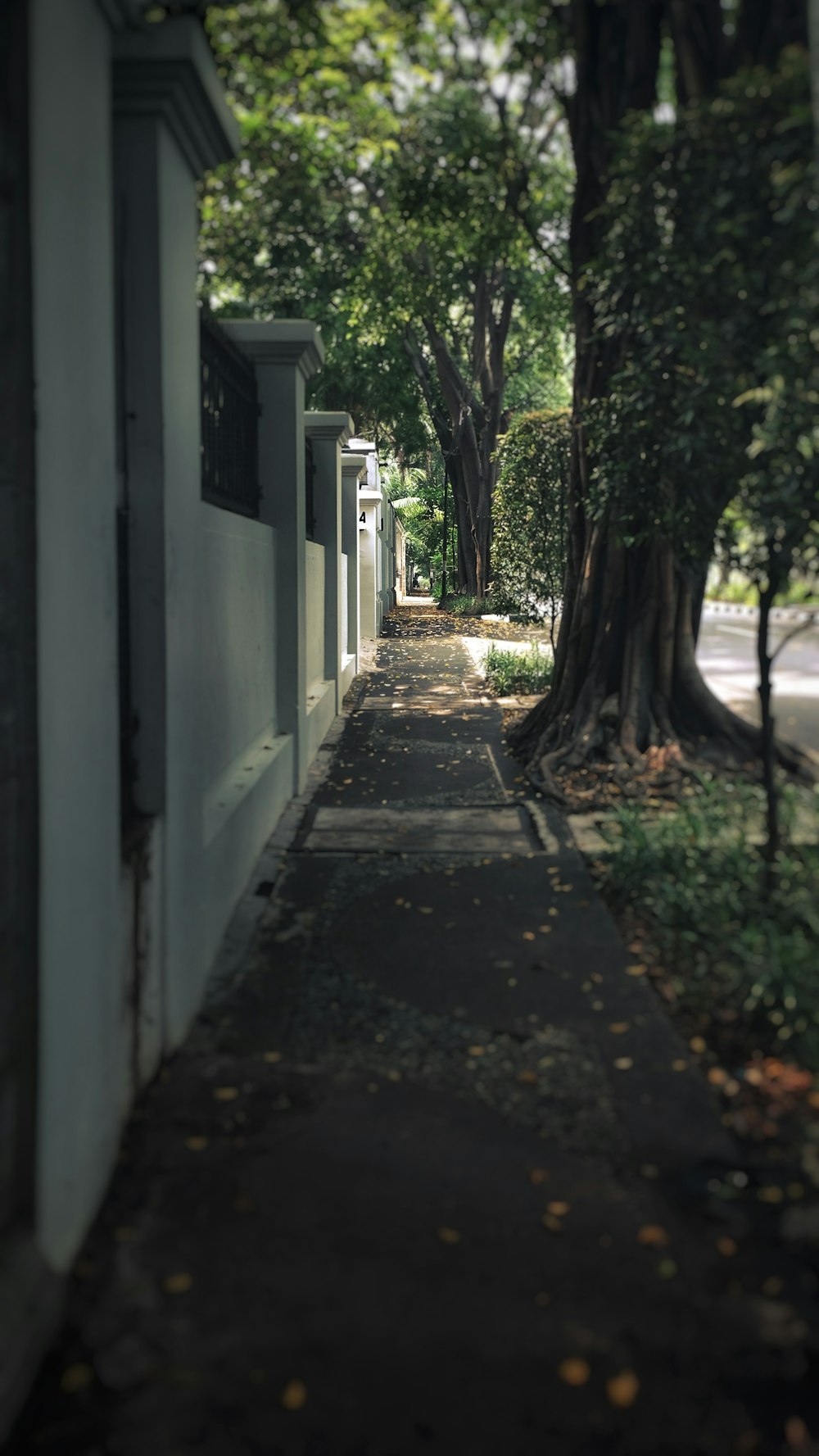 a narrow street lined with trees next to a building