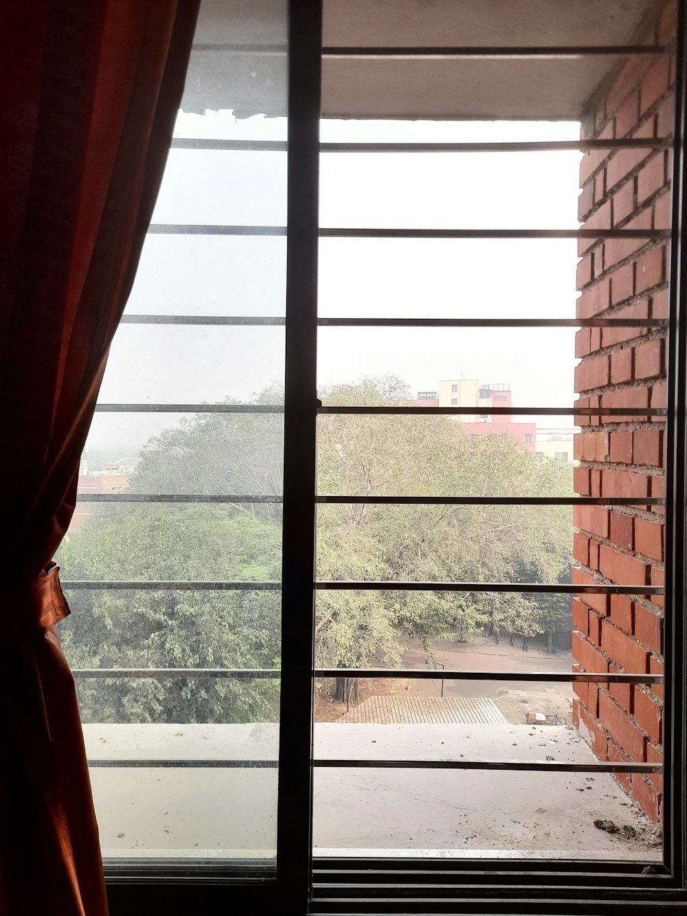 a window with a view of a tree outside