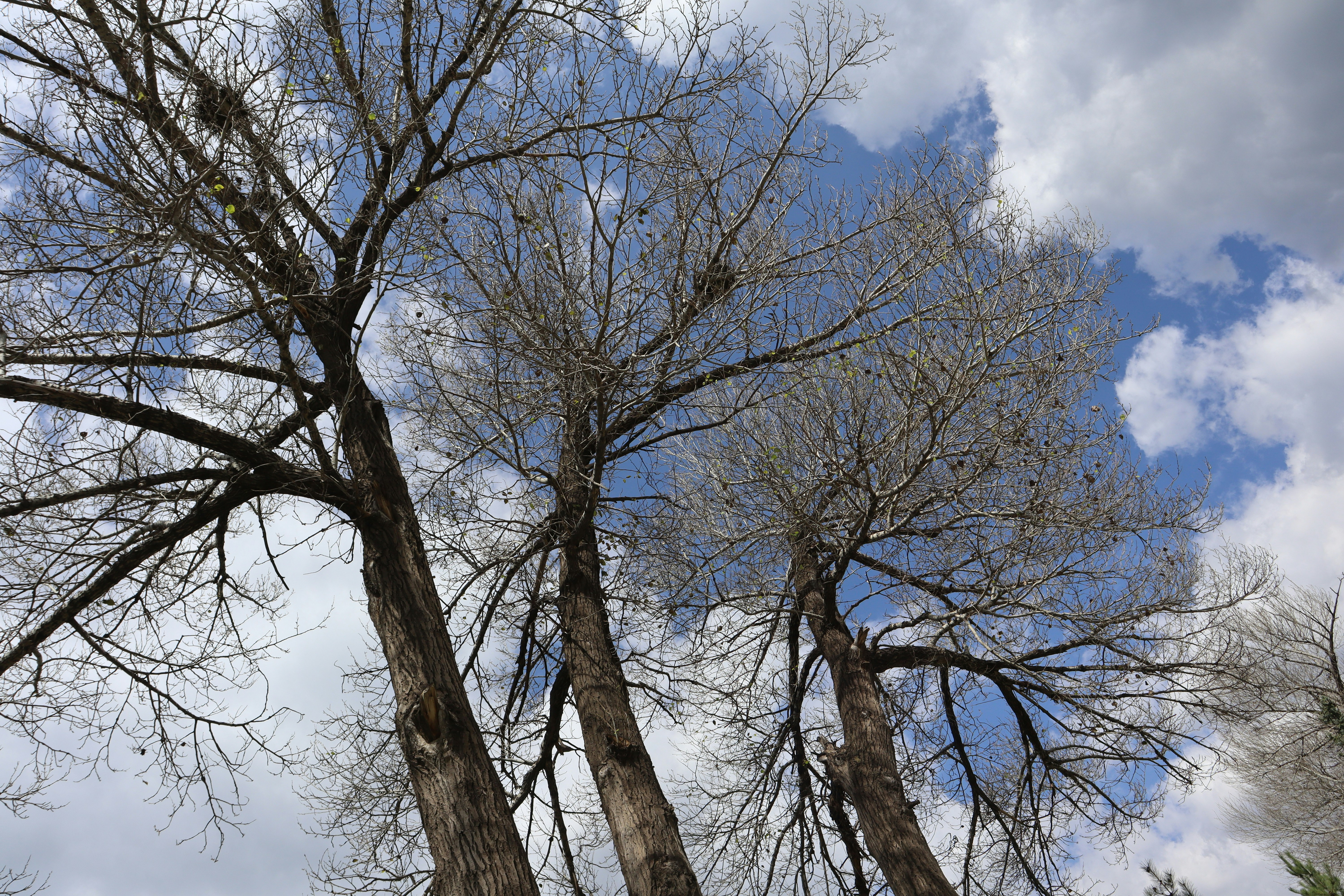 Photo by zhonglimozi