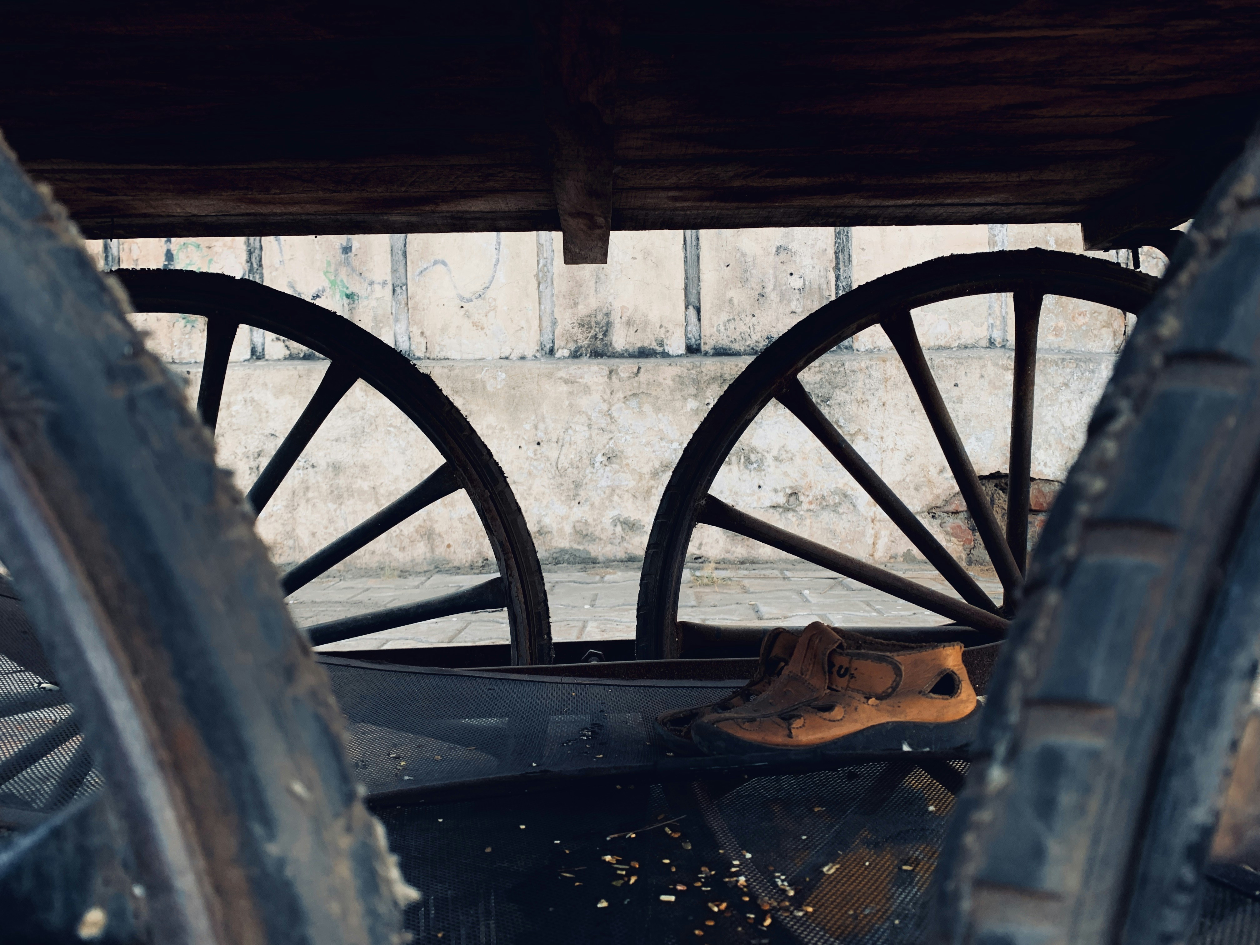 Photo by akshar_dave