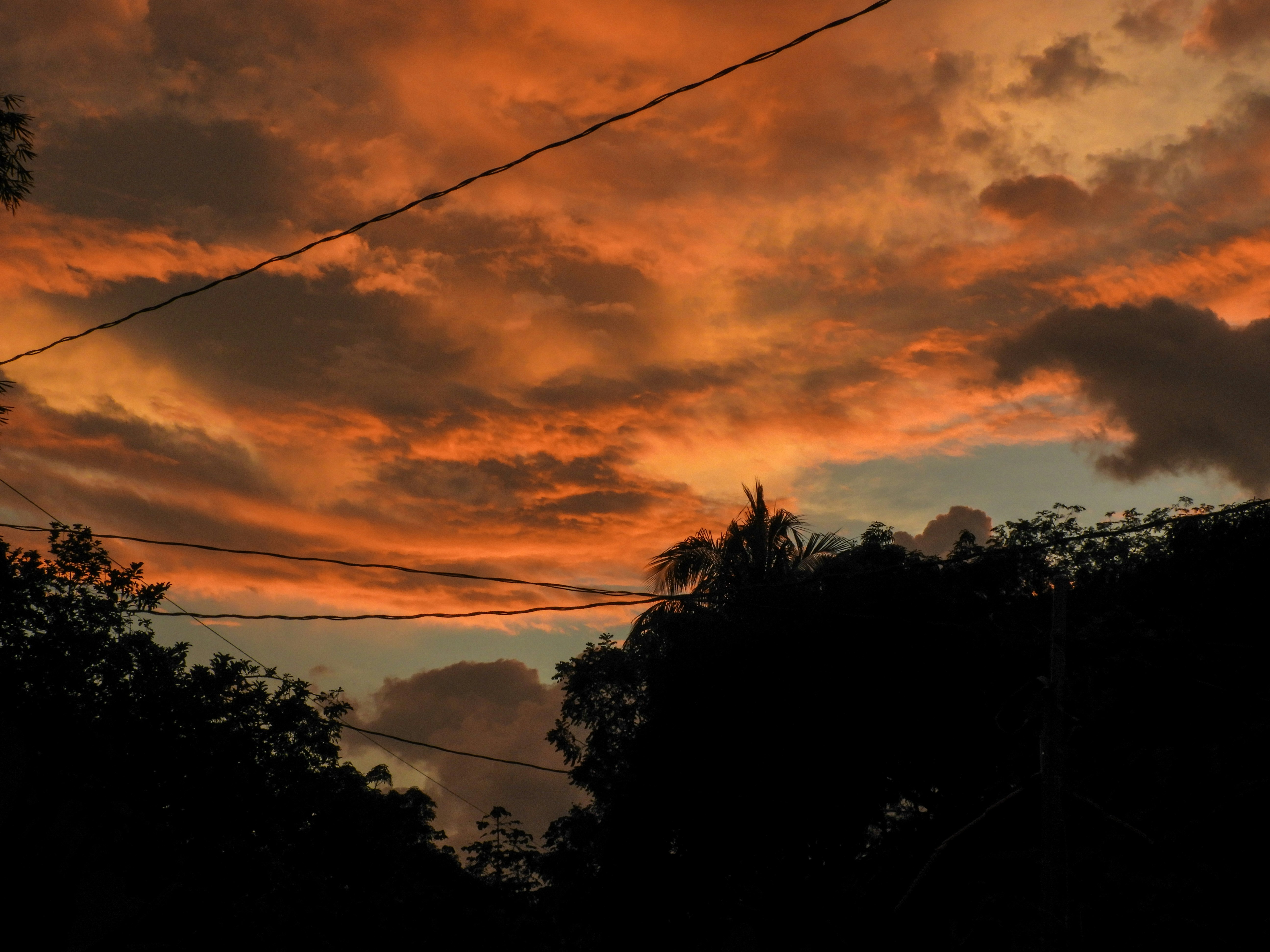 Photo by its_rhodo_cr