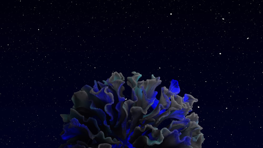 a blue and black plant with stars in the background
