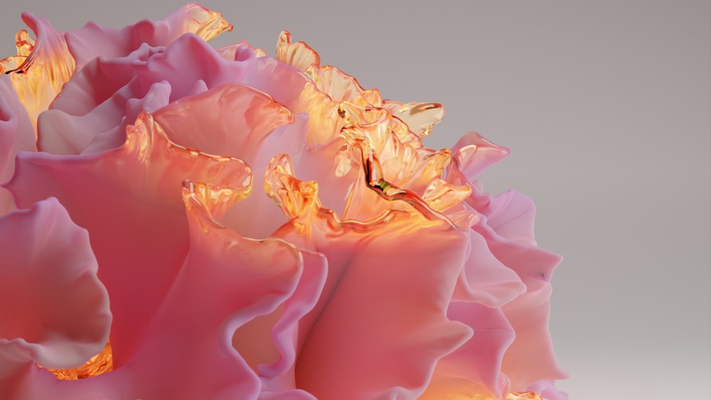 a close up of a pink flower on a white background