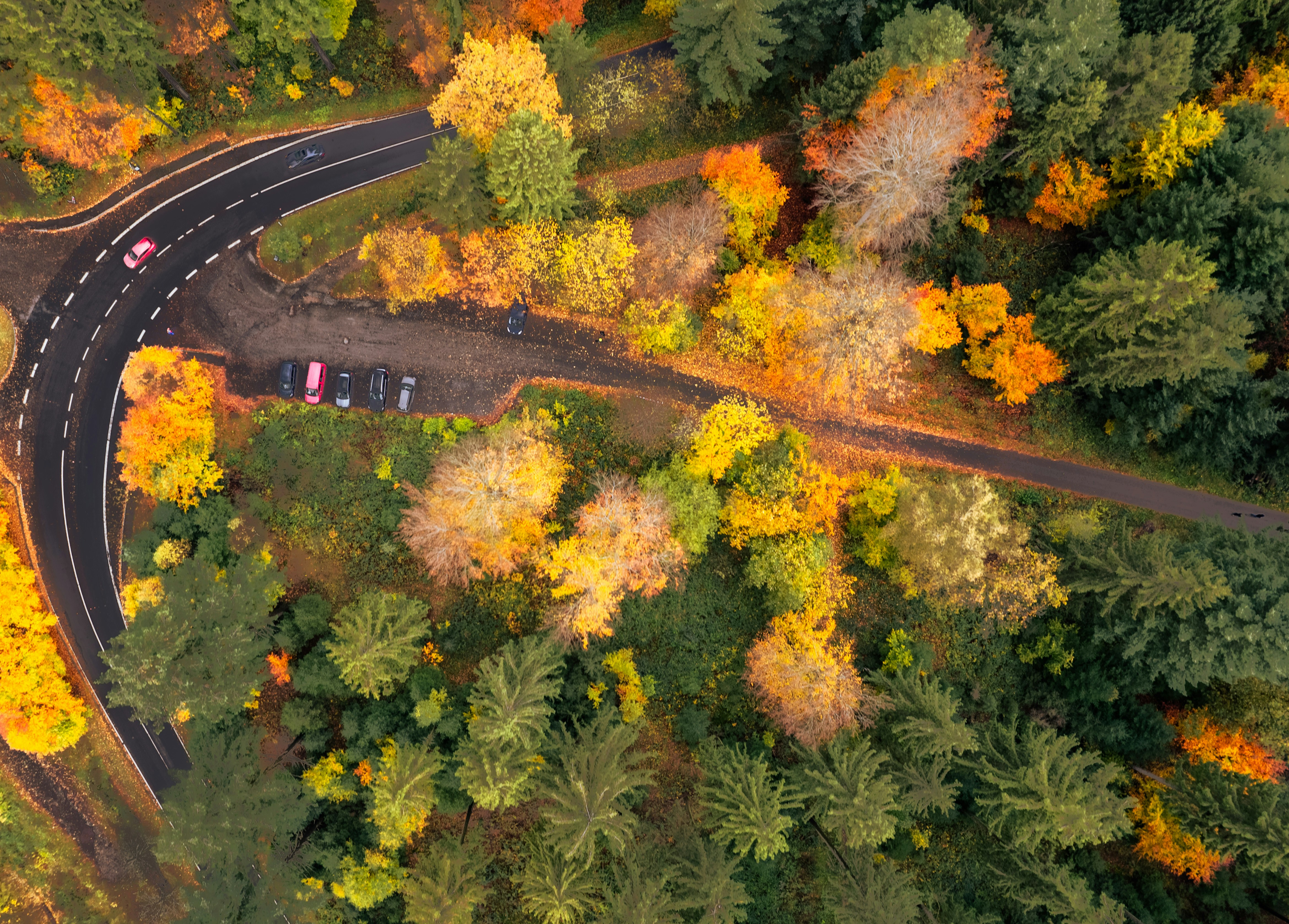 an aerial view of a road surrounded by trees, This aerial view captures a winding road amidst a vibrant autumn forest. The palette of fall colors, from golden yellow to fiery orange, contrasts with the evergreen trees and the dark asphalt. A small parking area is visible, with a few cars suggesting the tranquility of a scenic route less traveled.