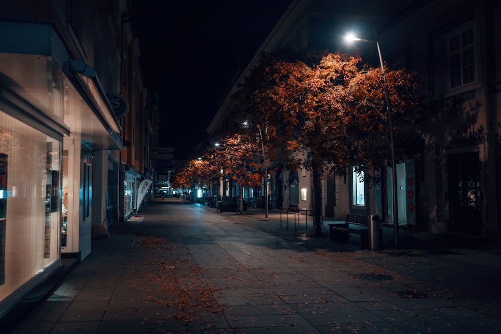 a city street at night with a tree lined street