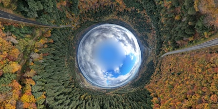 an aerial view of a road in the middle of a forest