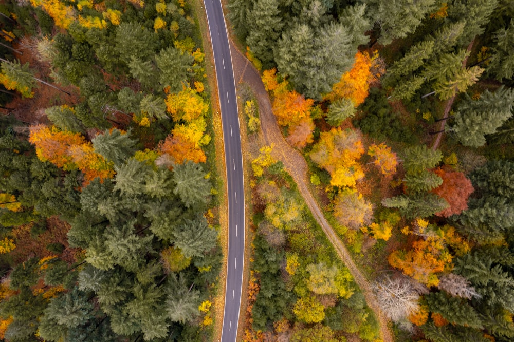 an aerial view of a road surrounded by trees